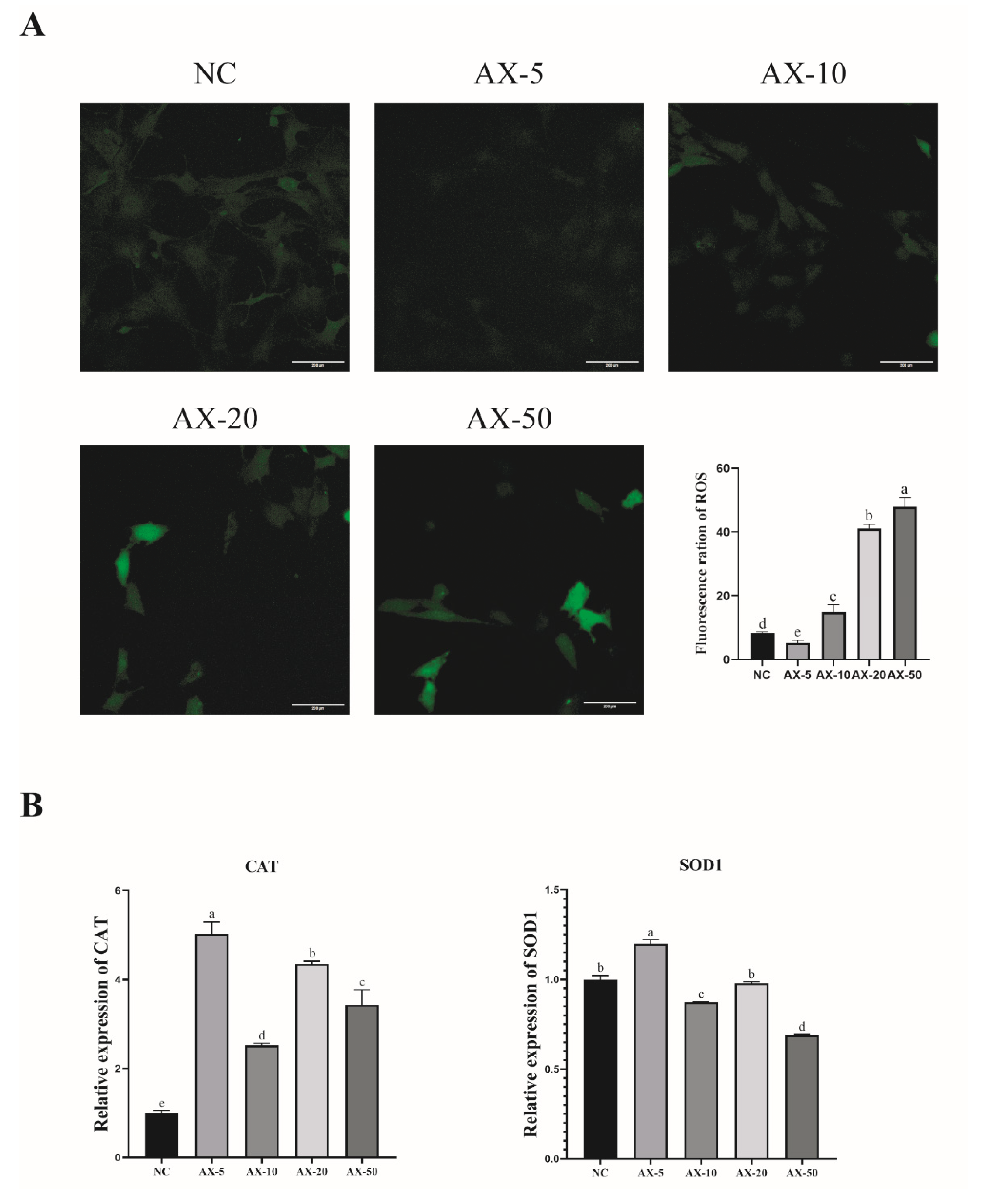 Antioxidants 13 01185 g006