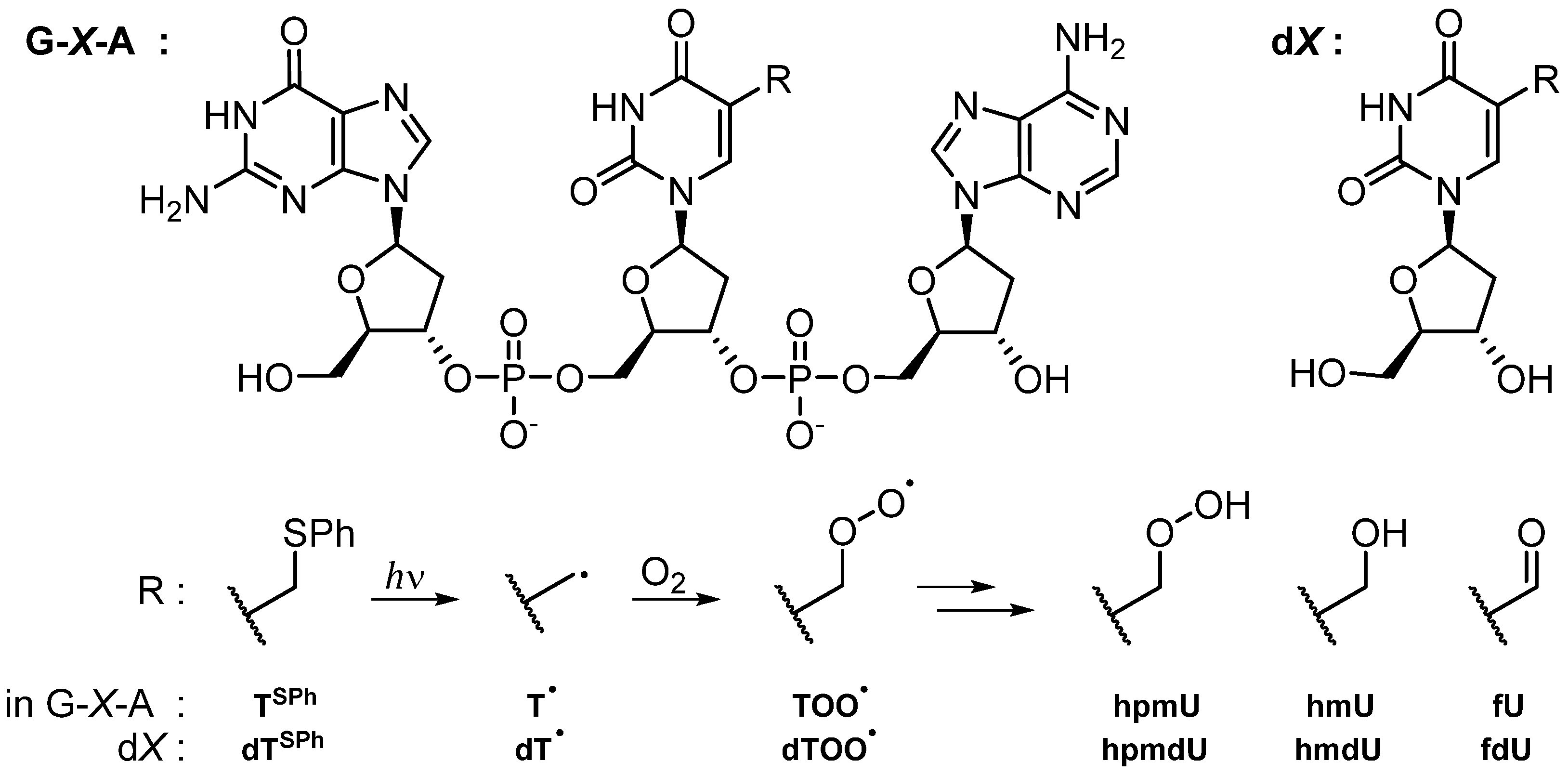 Antioxidants 13 01194 g001