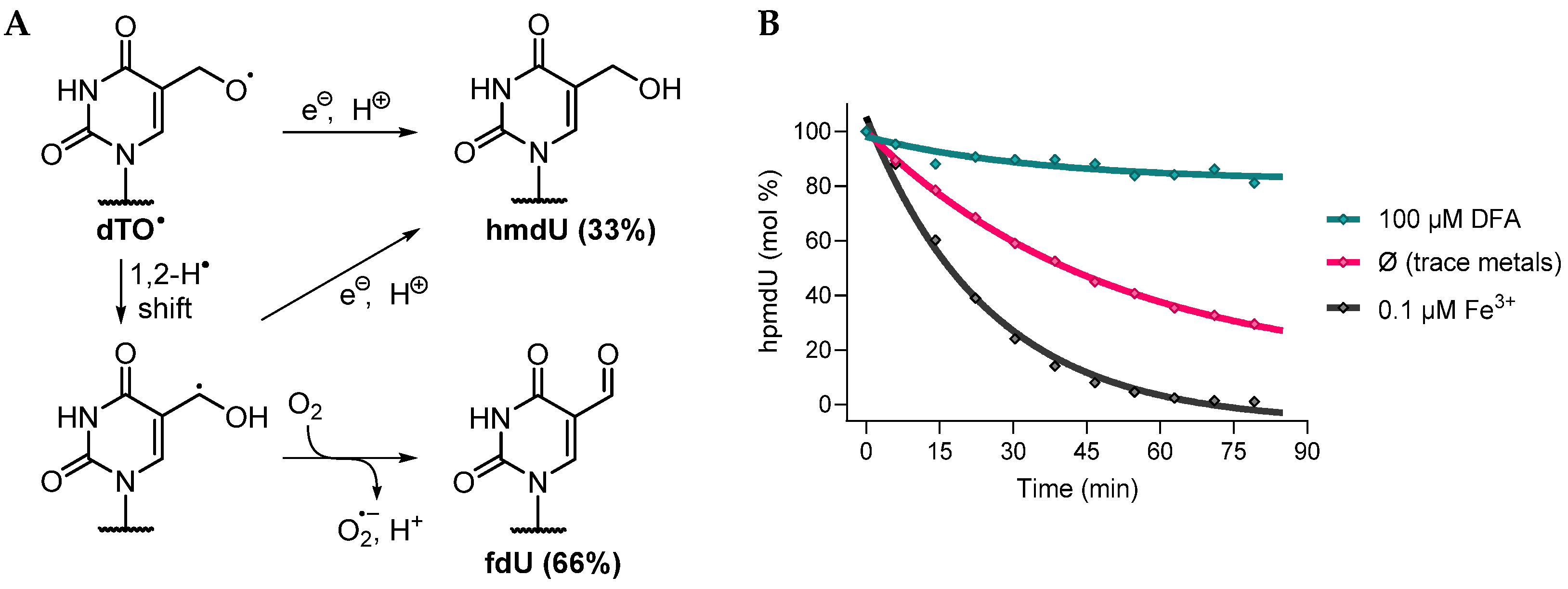 Antioxidants 13 01194 g004