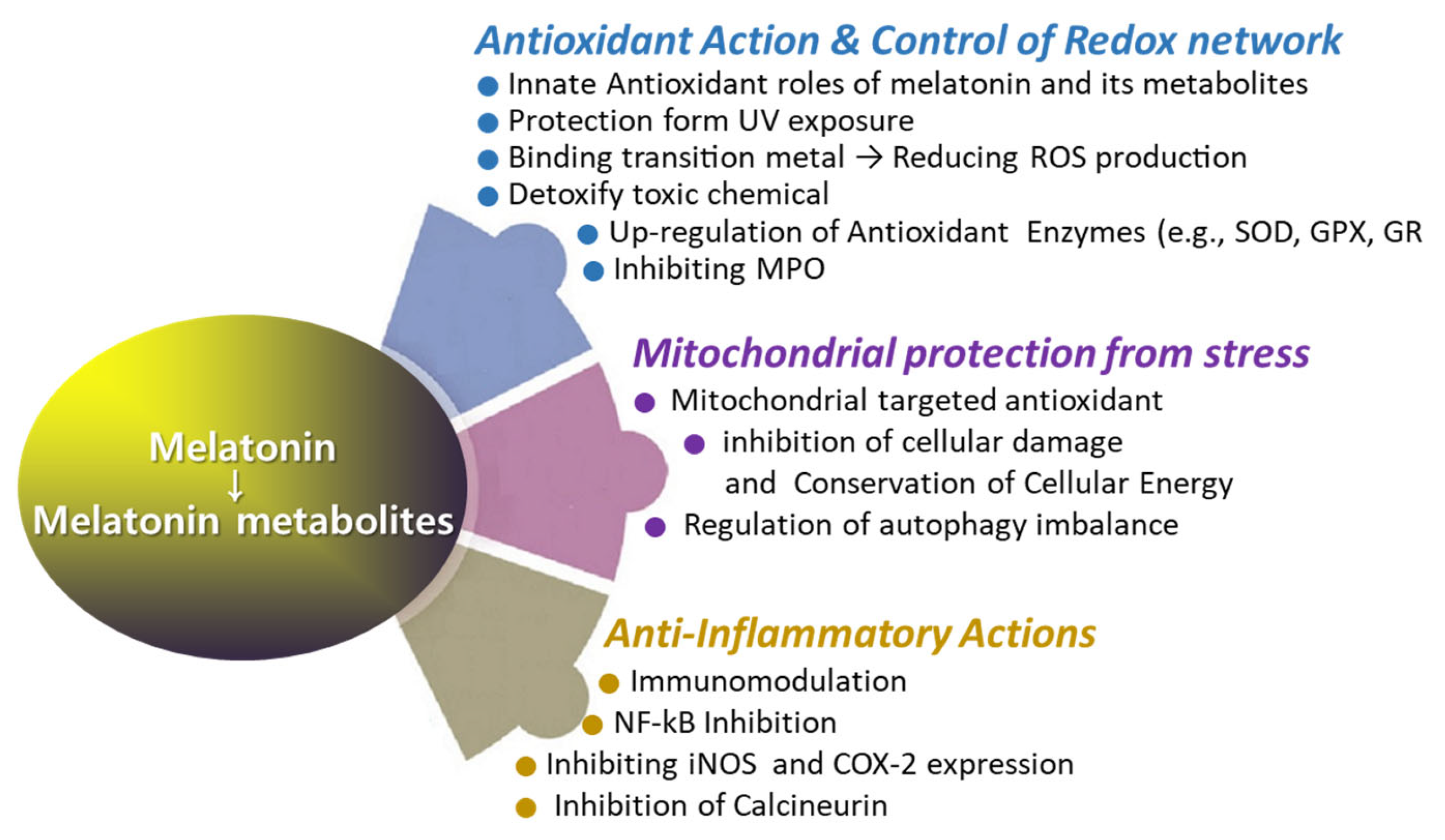 Antioxidants 13 01197 g004