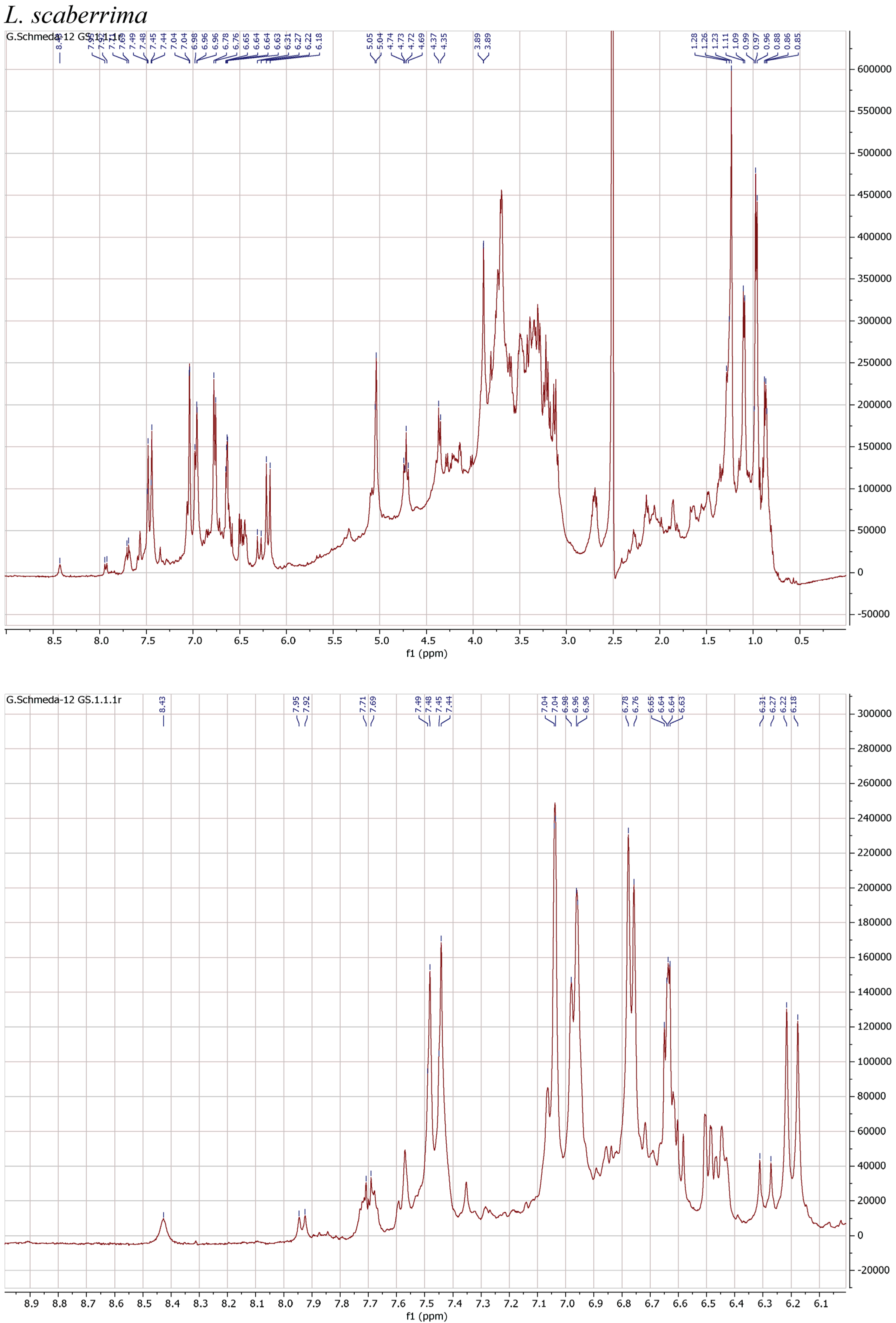 Antioxidants 13 01219 g001c Antioxidants 13 01219 g001c
