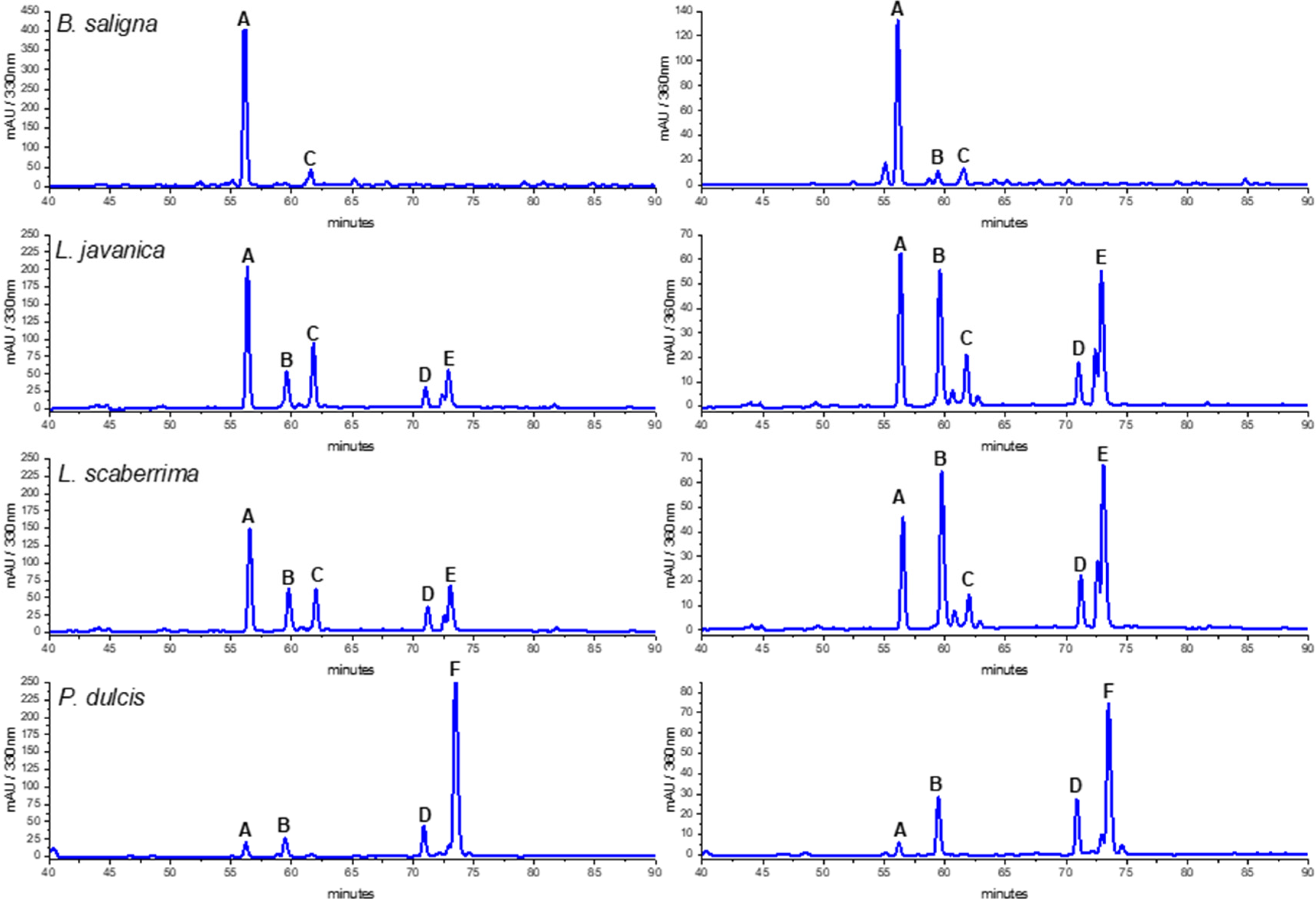 Antioxidants 13 01219 g002 Antioxidants 13 01219 g002