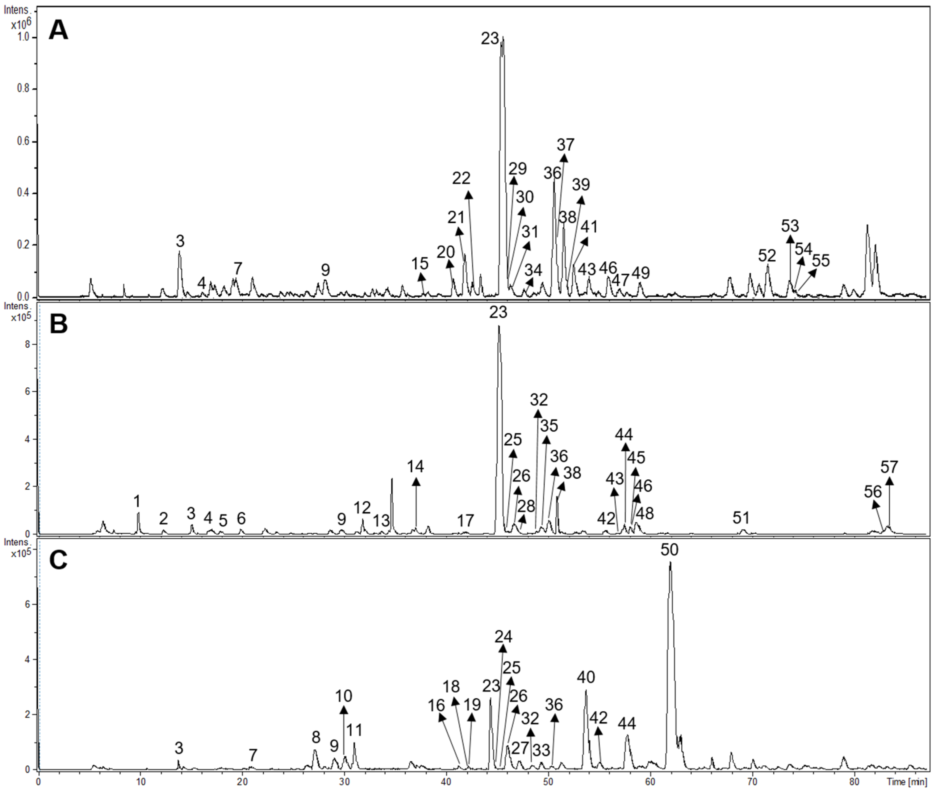 Antioxidants 13 01219 g003 Antioxidants 13 01219 g003