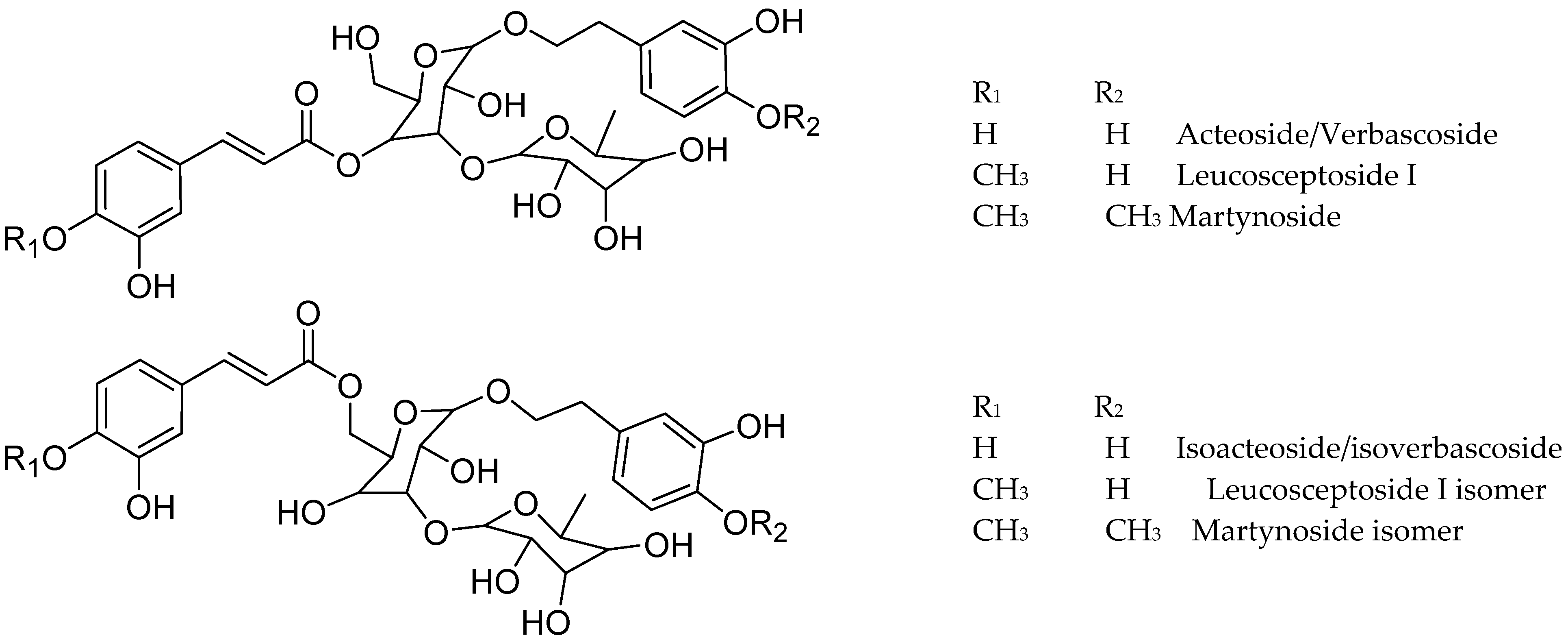 Antioxidants 13 01219 g004a Antioxidants 13 01219 g004a