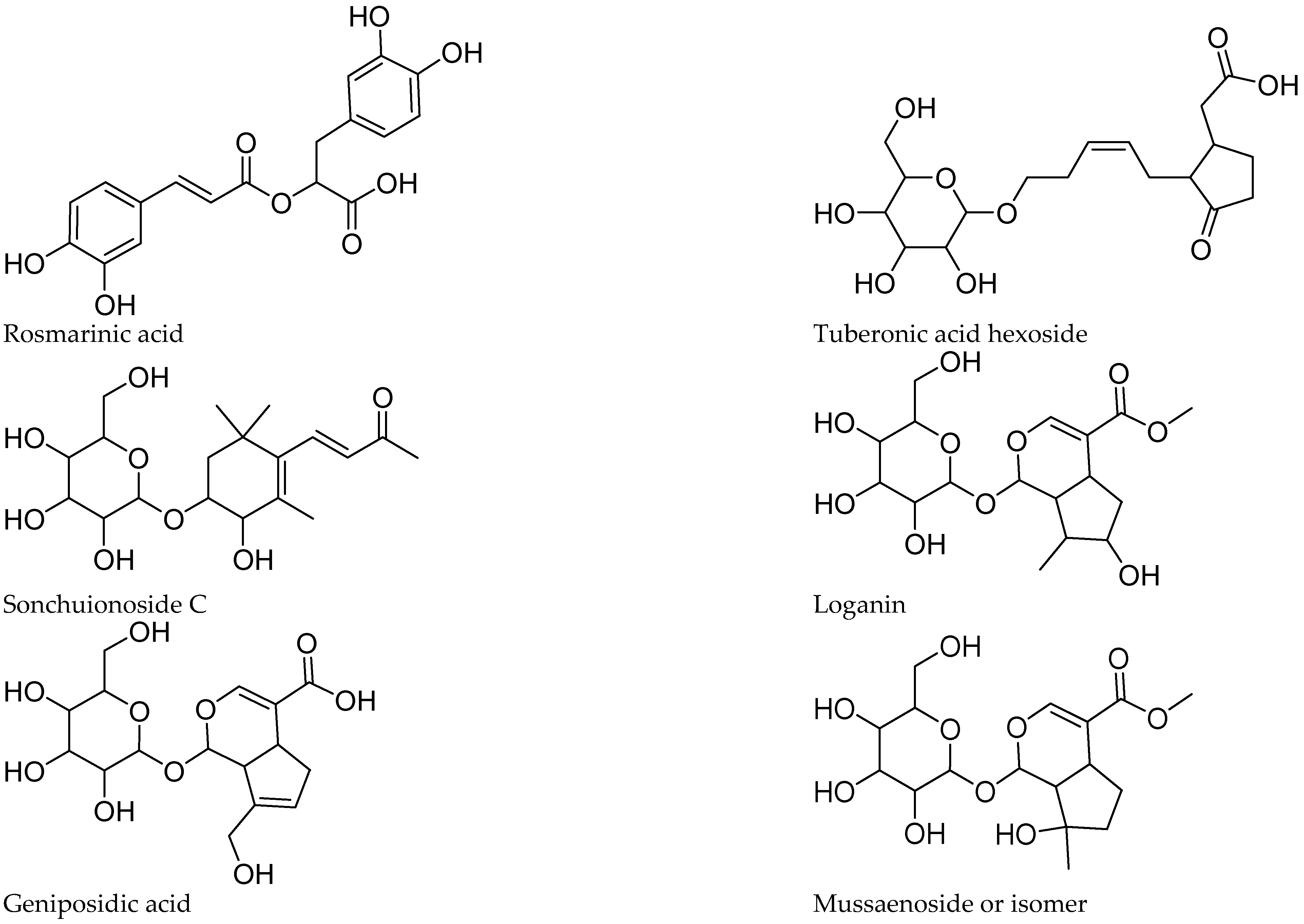 Antioxidants 13 01219 g004b Antioxidants 13 01219 g004b