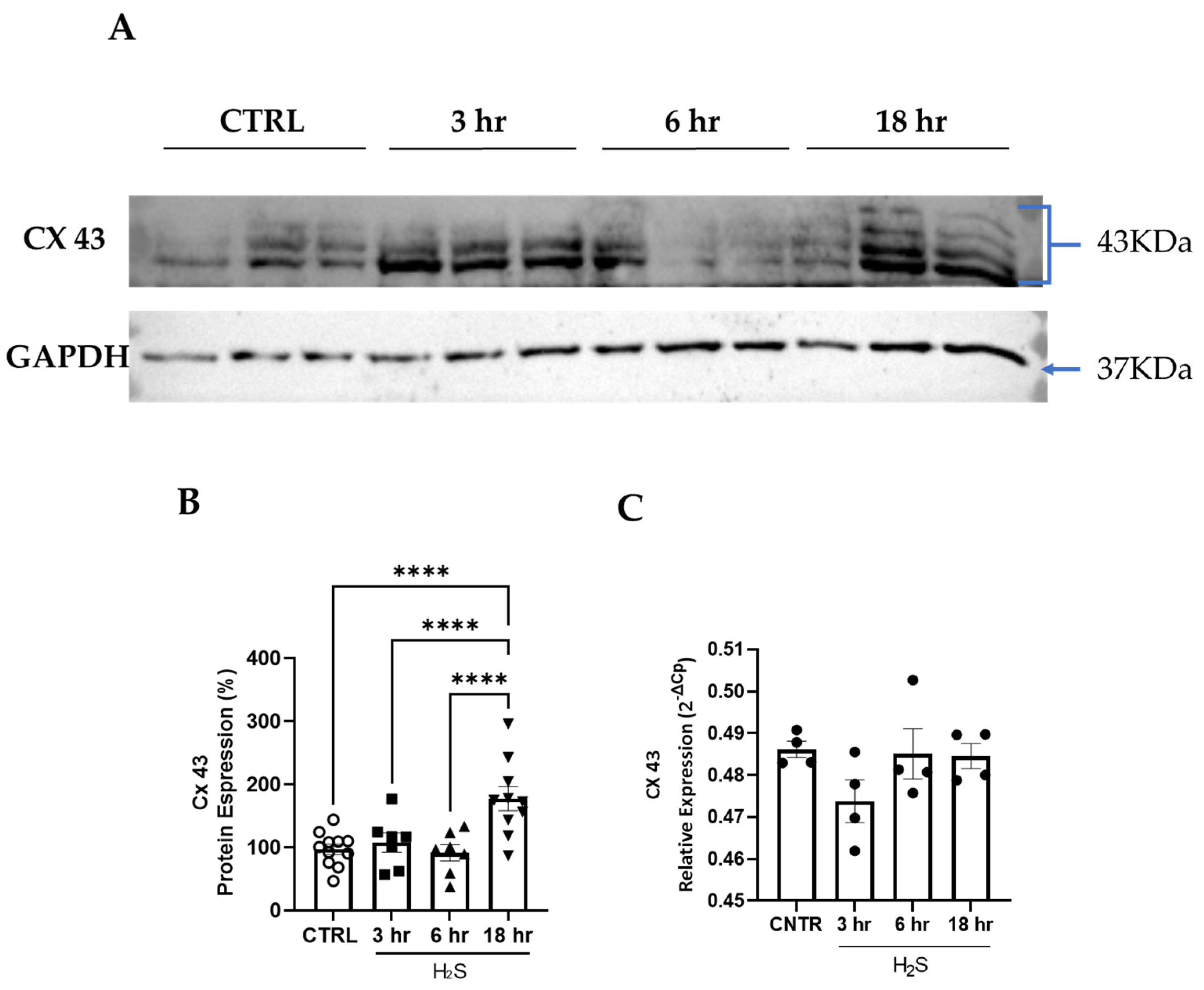 Antioxidants 13 01241 g003