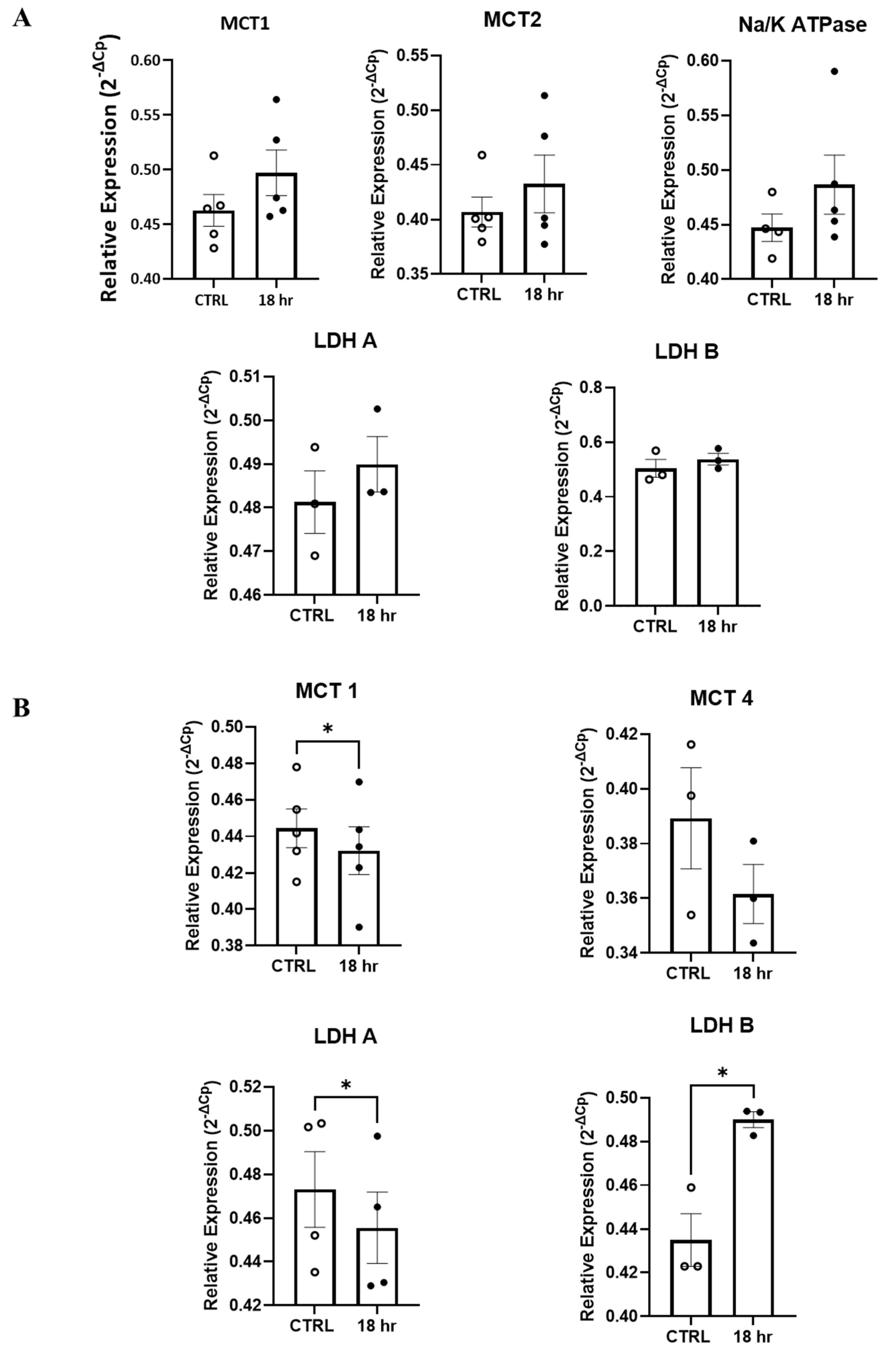 Antioxidants 13 01241 g006