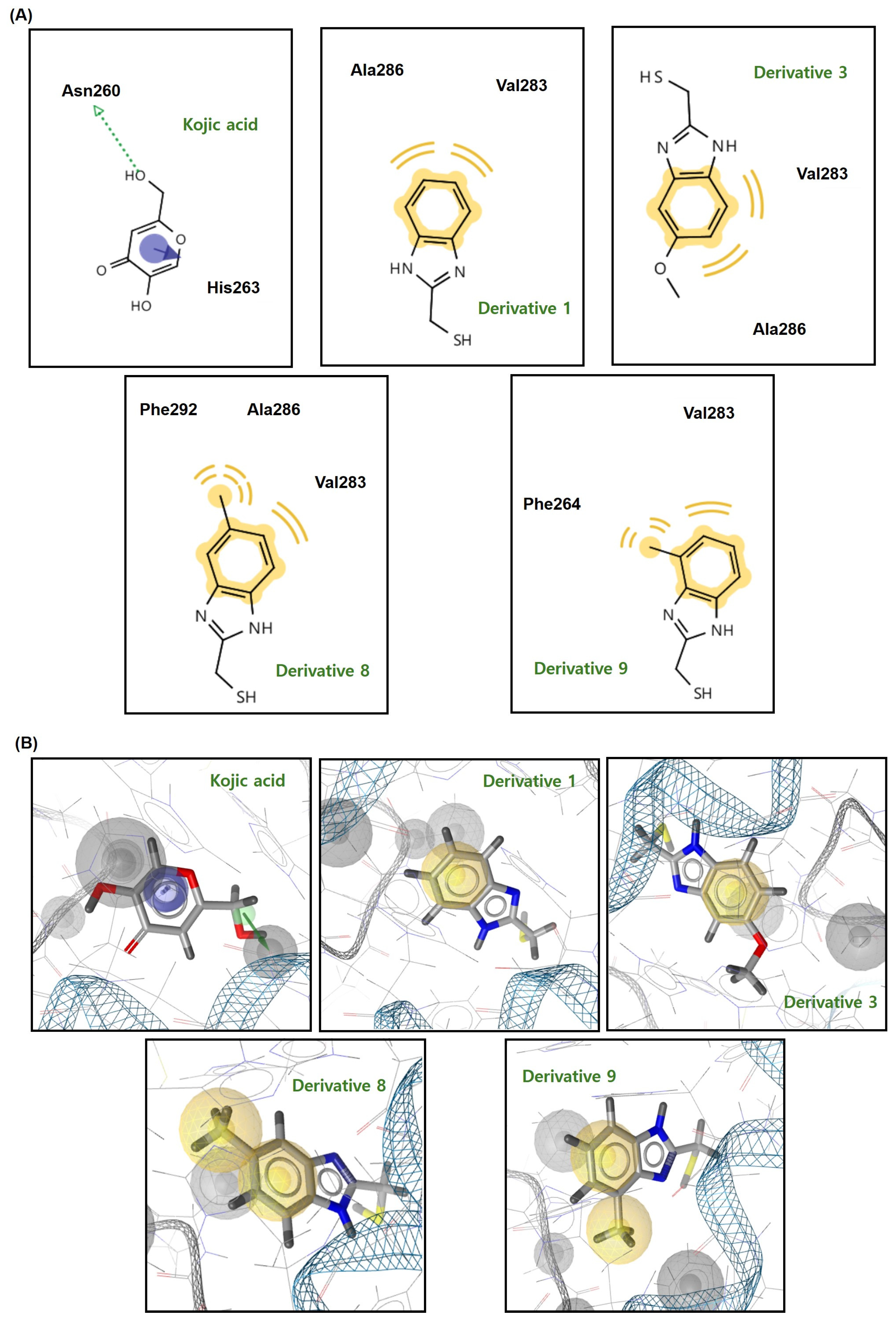 Antioxidants 13 01248 g007