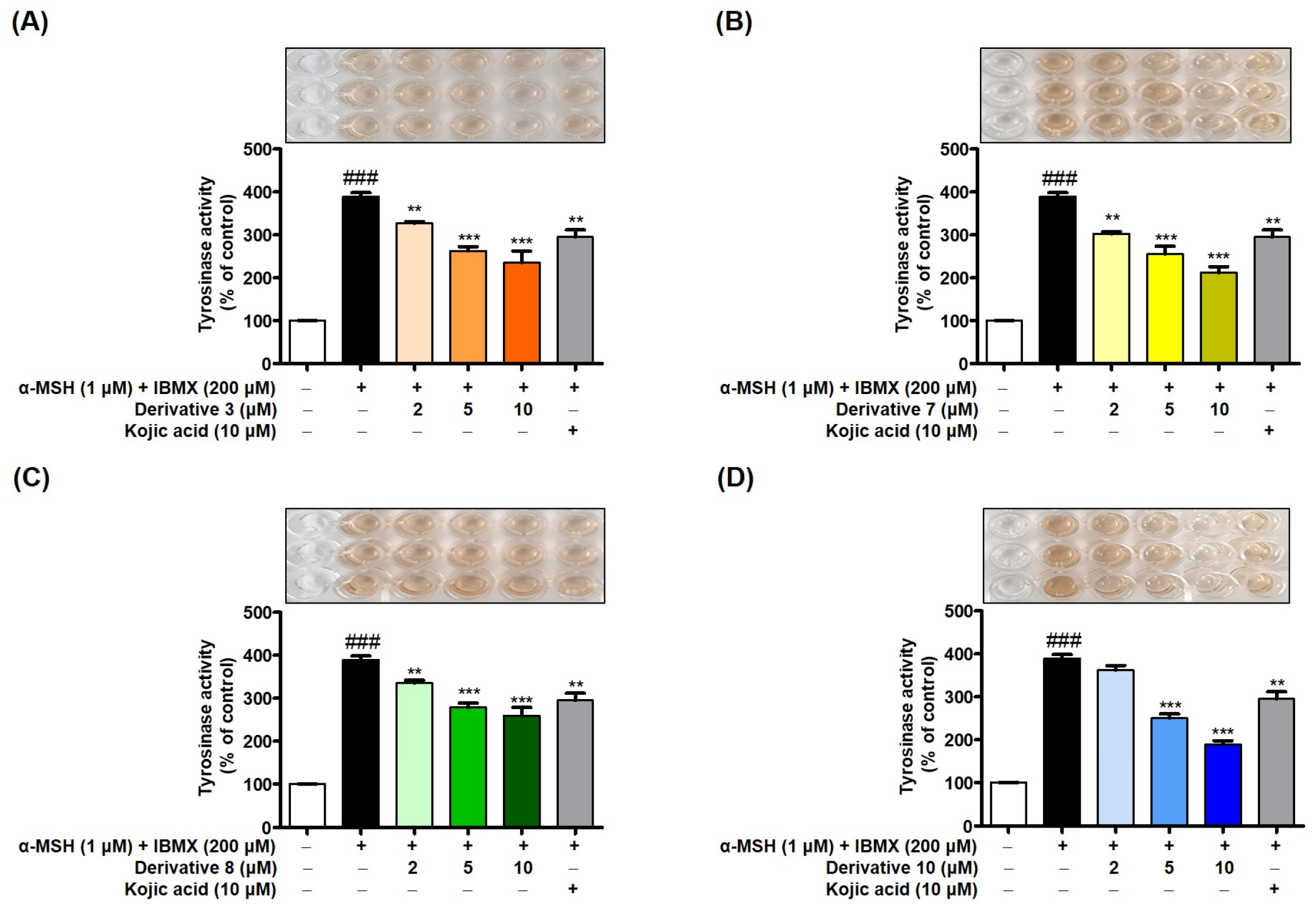Antioxidants 13 01248 g012