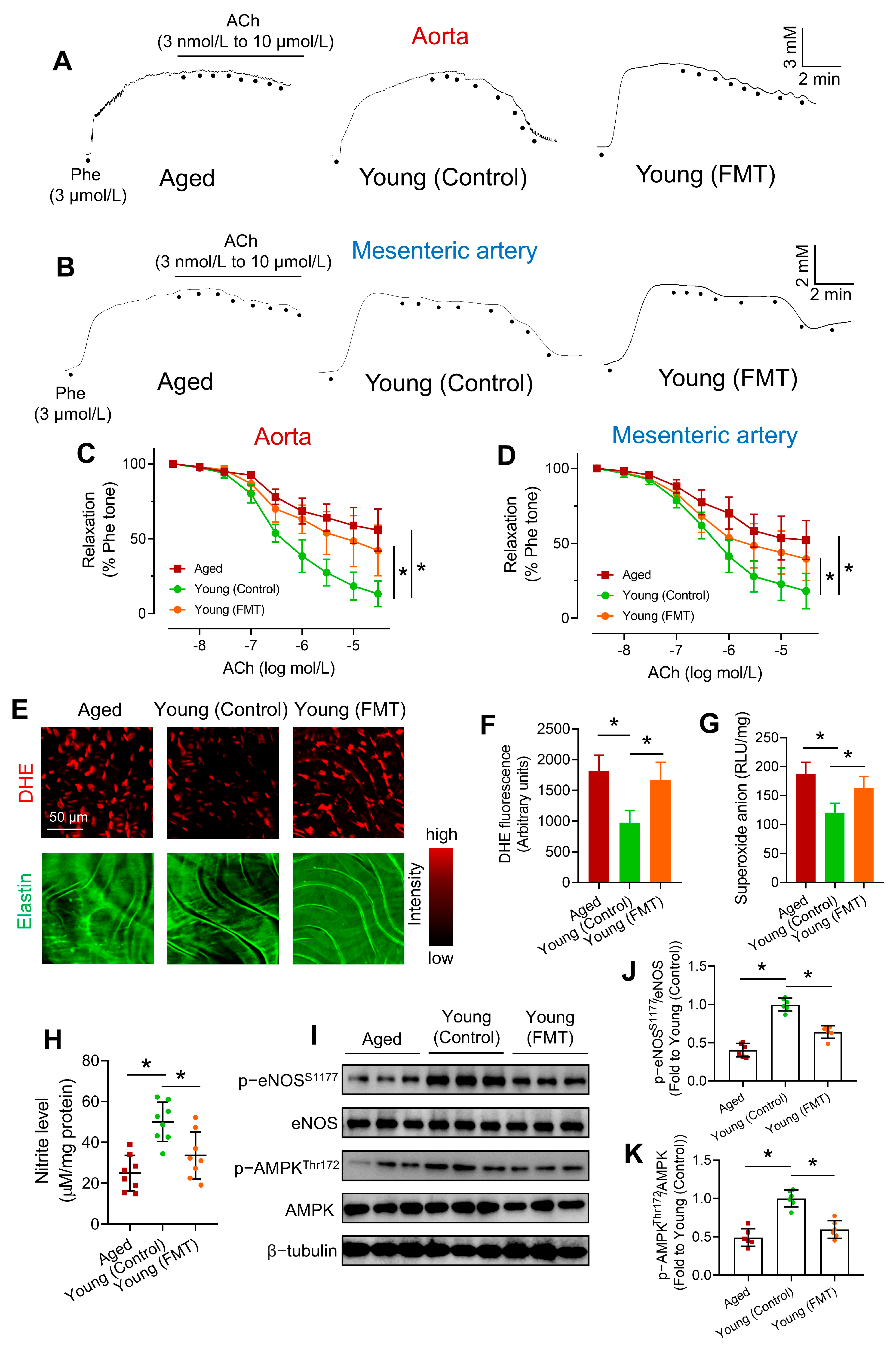 Antioxidants 13 01250 g002