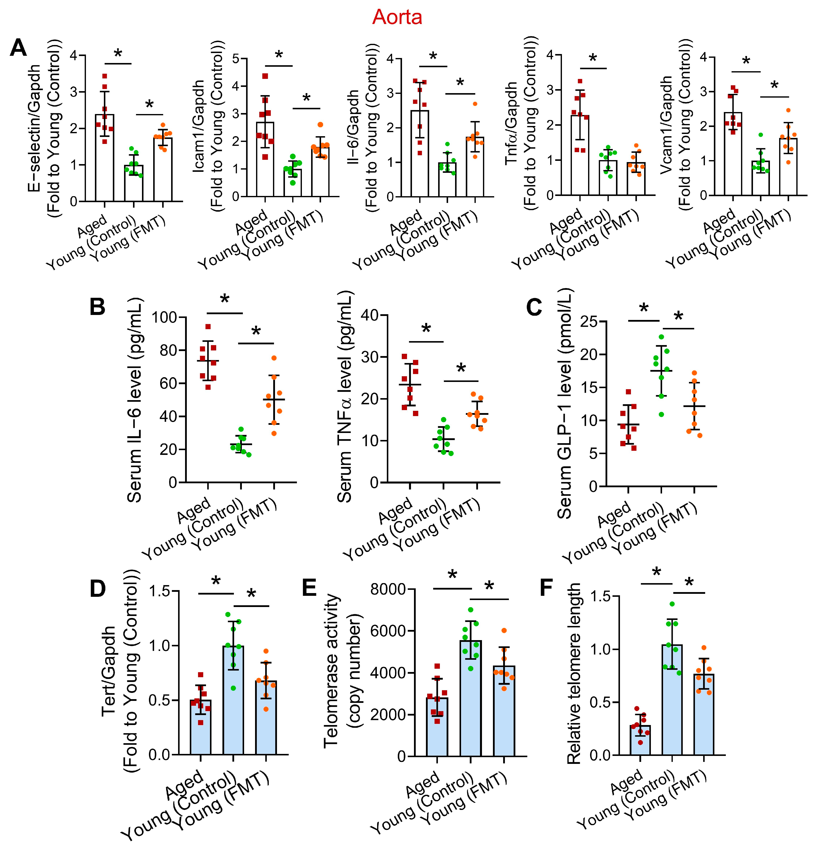 Antioxidants 13 01250 g003