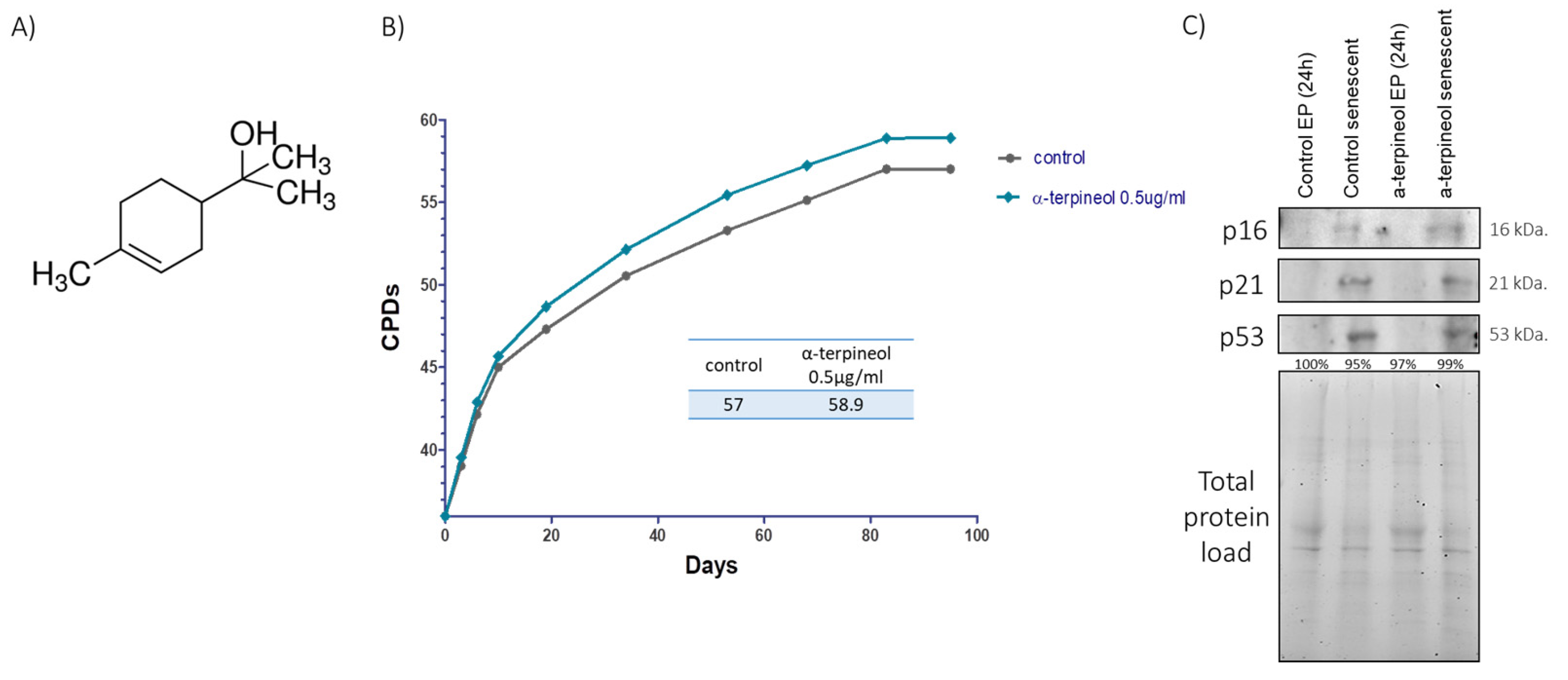 Antioxidants 13 01258 g001