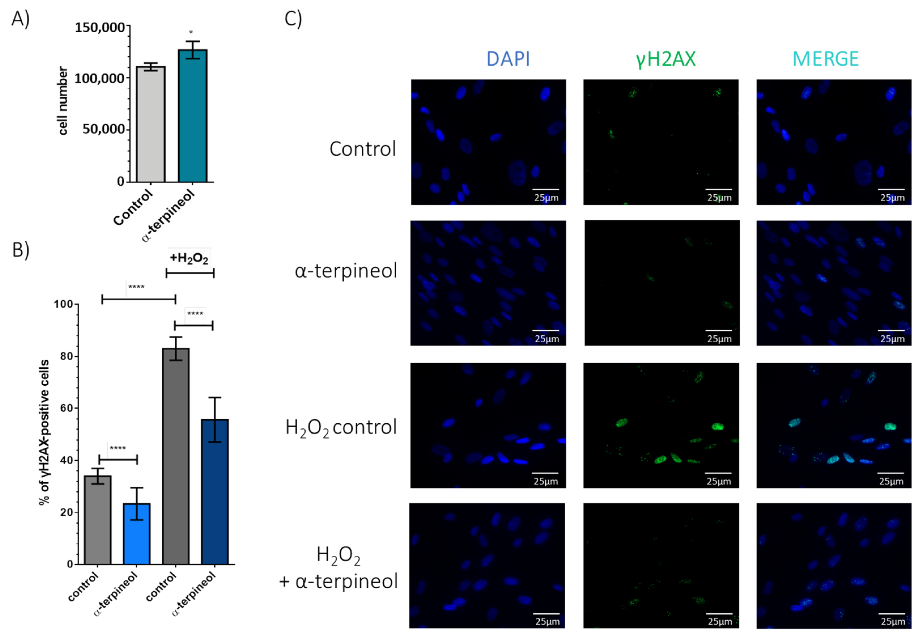 Antioxidants 13 01258 g003