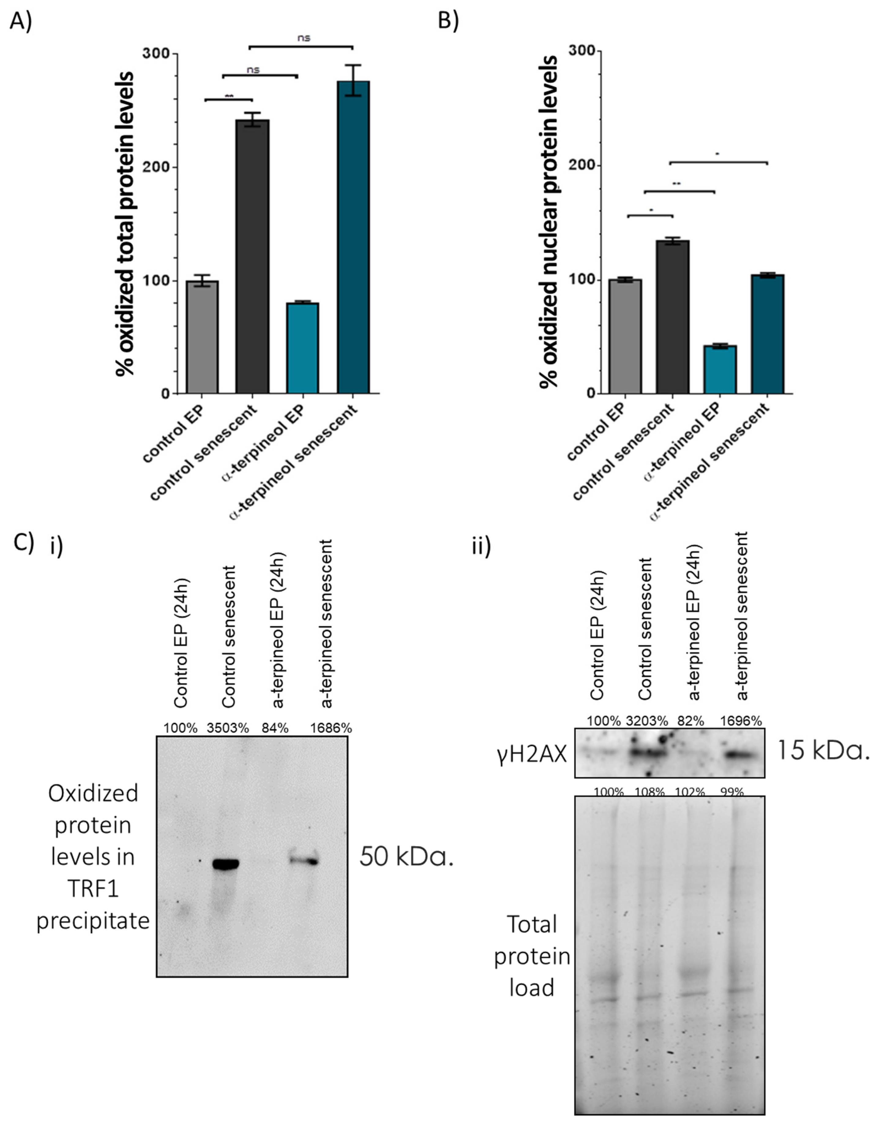 Antioxidants 13 01258 g005