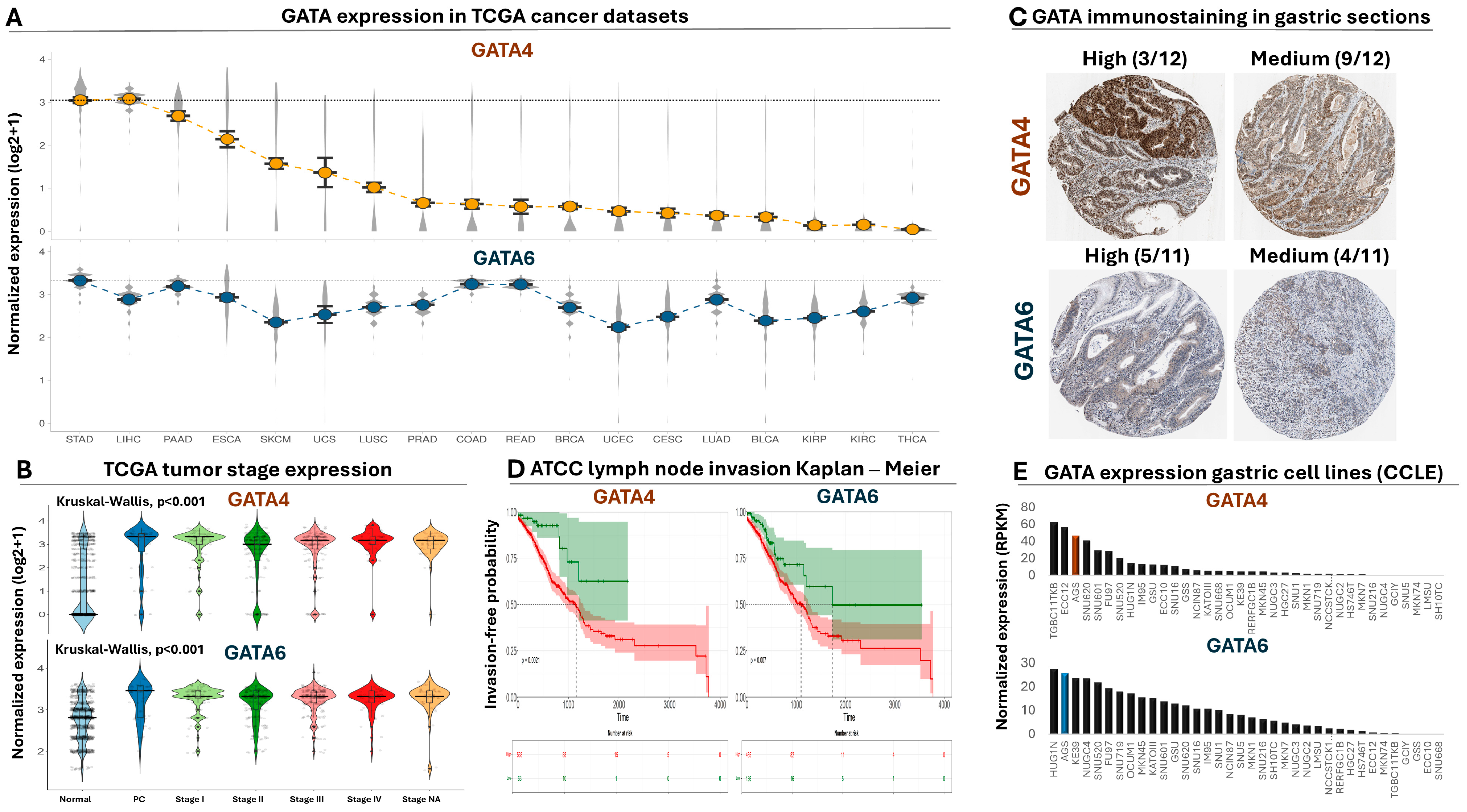 Antioxidants 13 01267 g001 Antioxidants 13 01267 g001