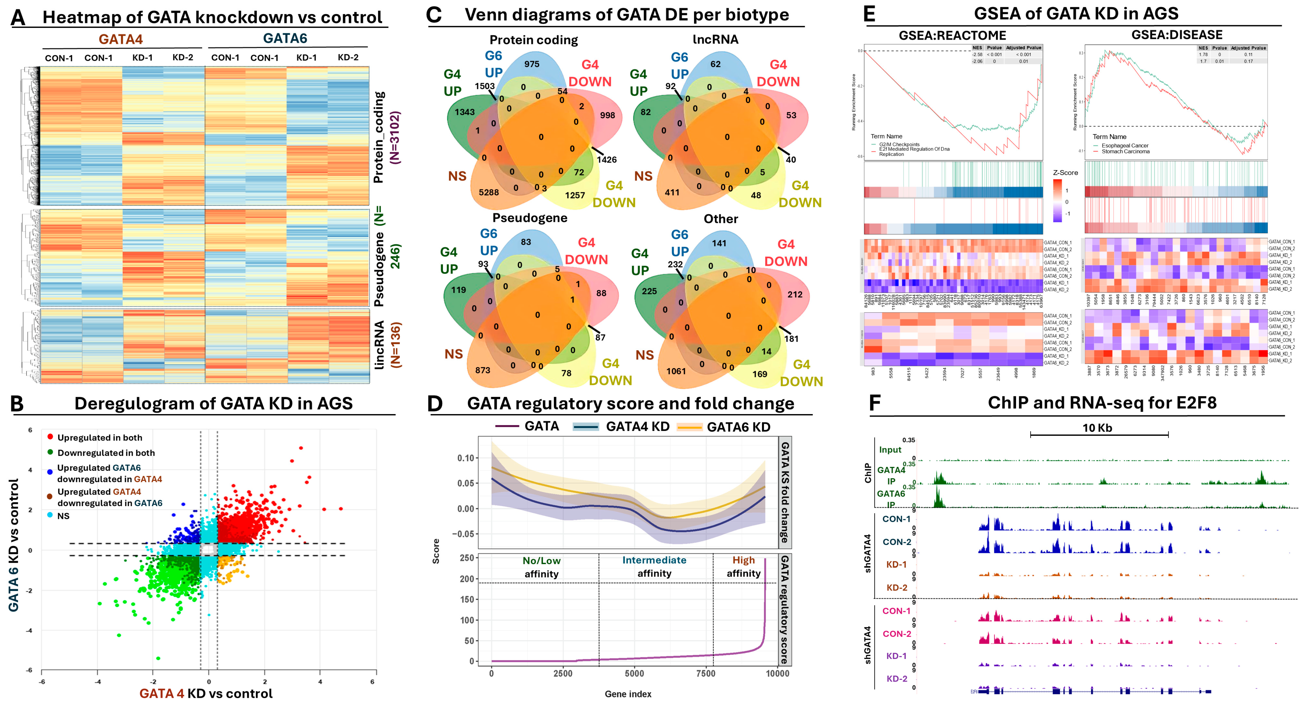 Antioxidants 13 01267 g003 Antioxidants 13 01267 g003