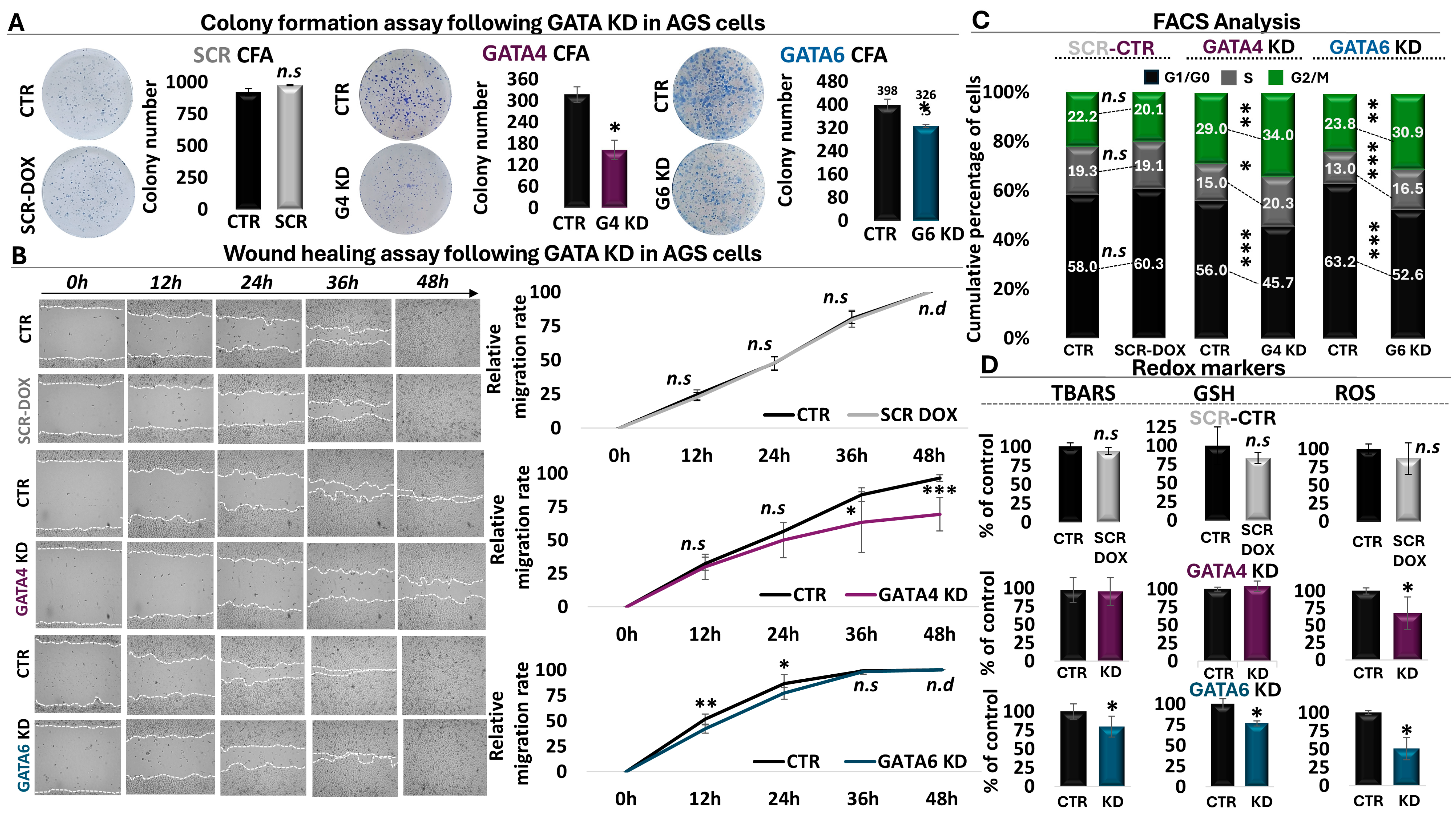 Antioxidants 13 01267 g004 Antioxidants 13 01267 g004