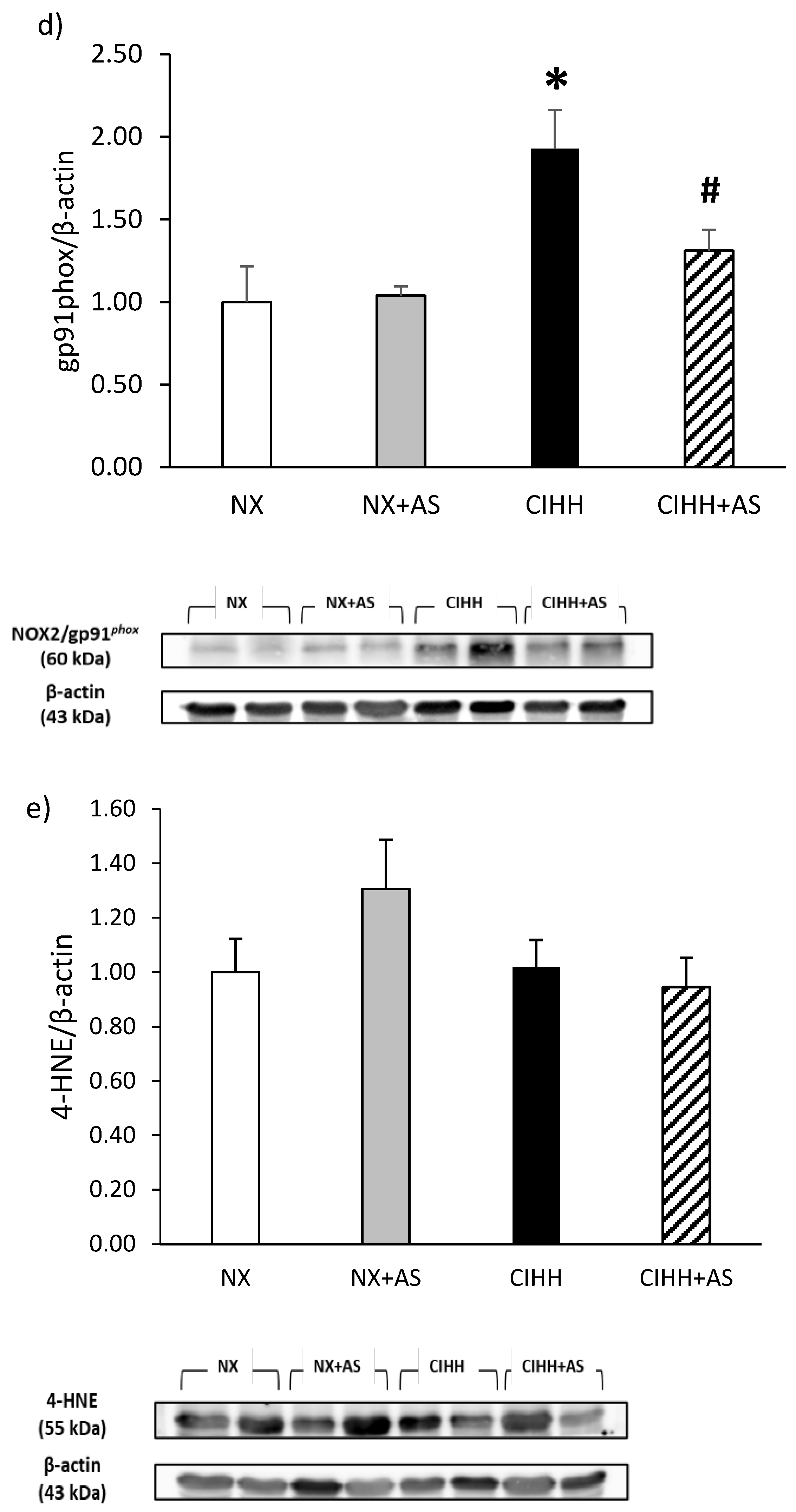 Antioxidants 13 01269 g004b Antioxidants 13 01269 g004b