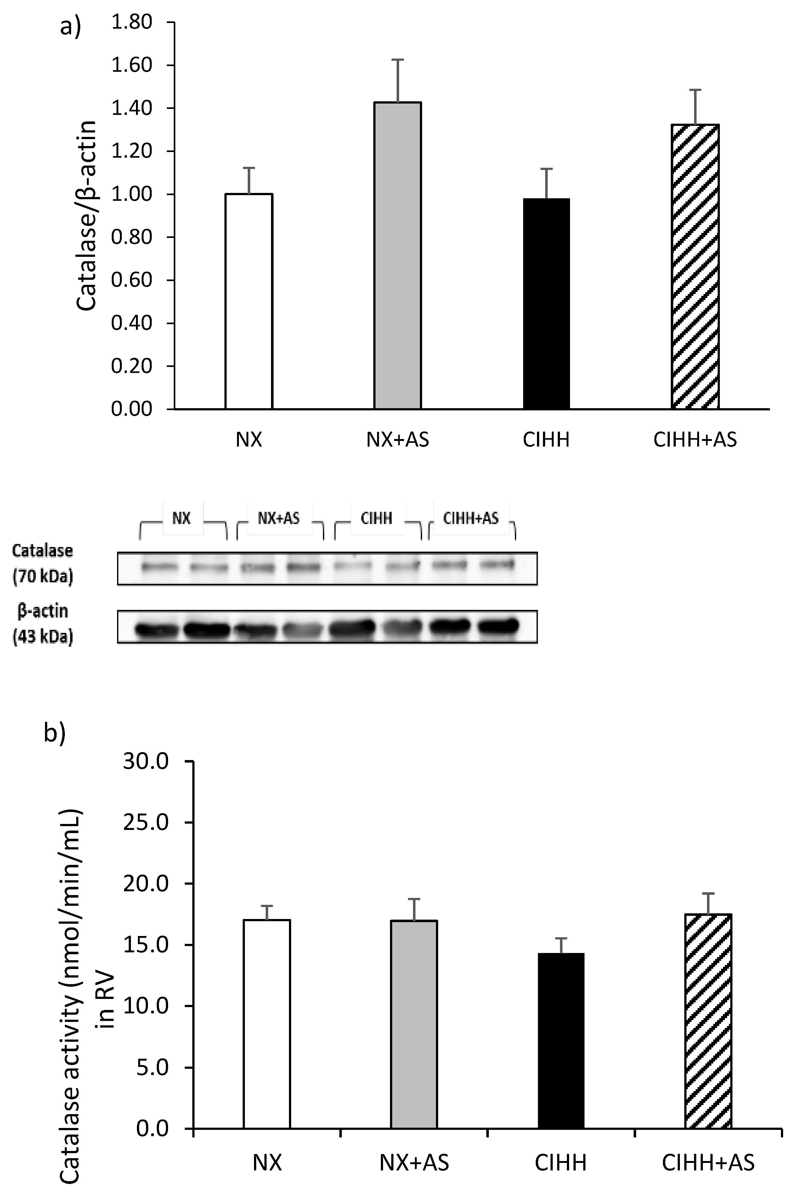 Antioxidants 13 01269 g005a Antioxidants 13 01269 g005a