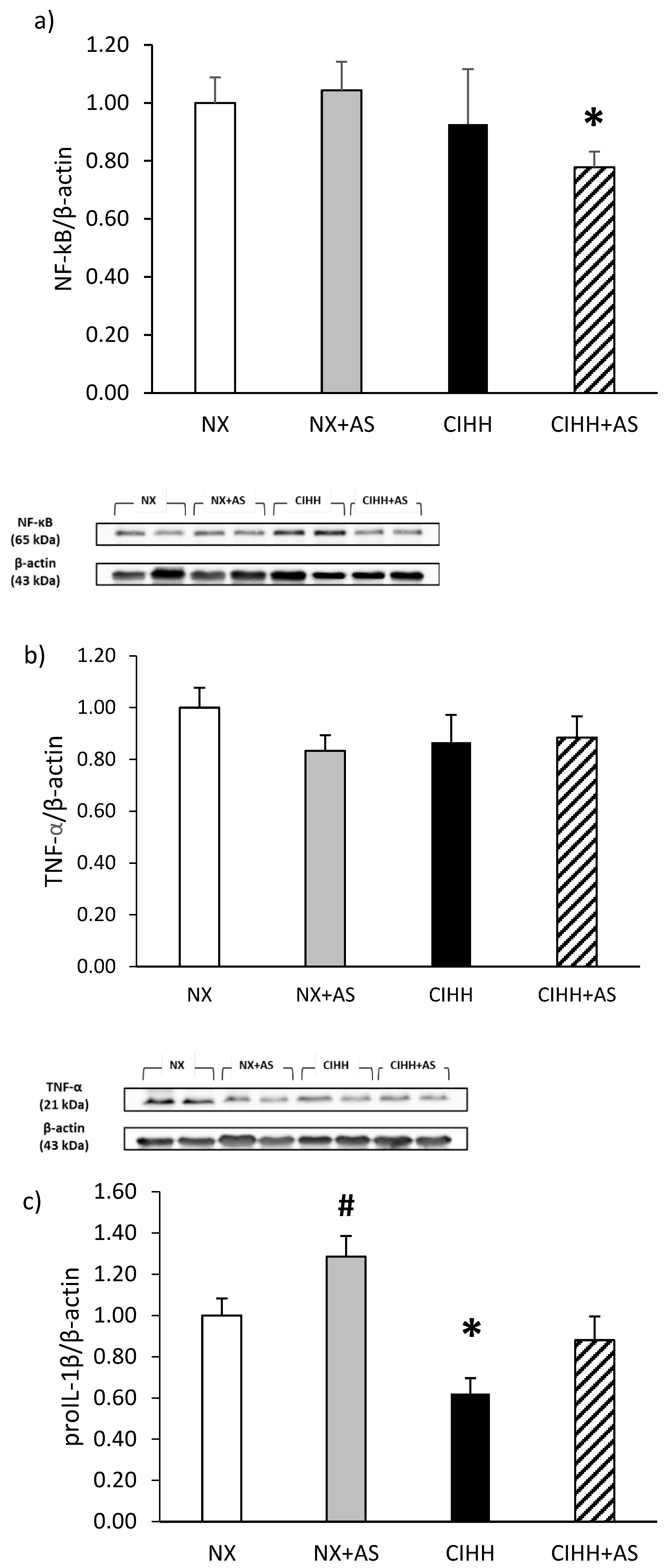 Antioxidants 13 01269 g006a Antioxidants 13 01269 g006a