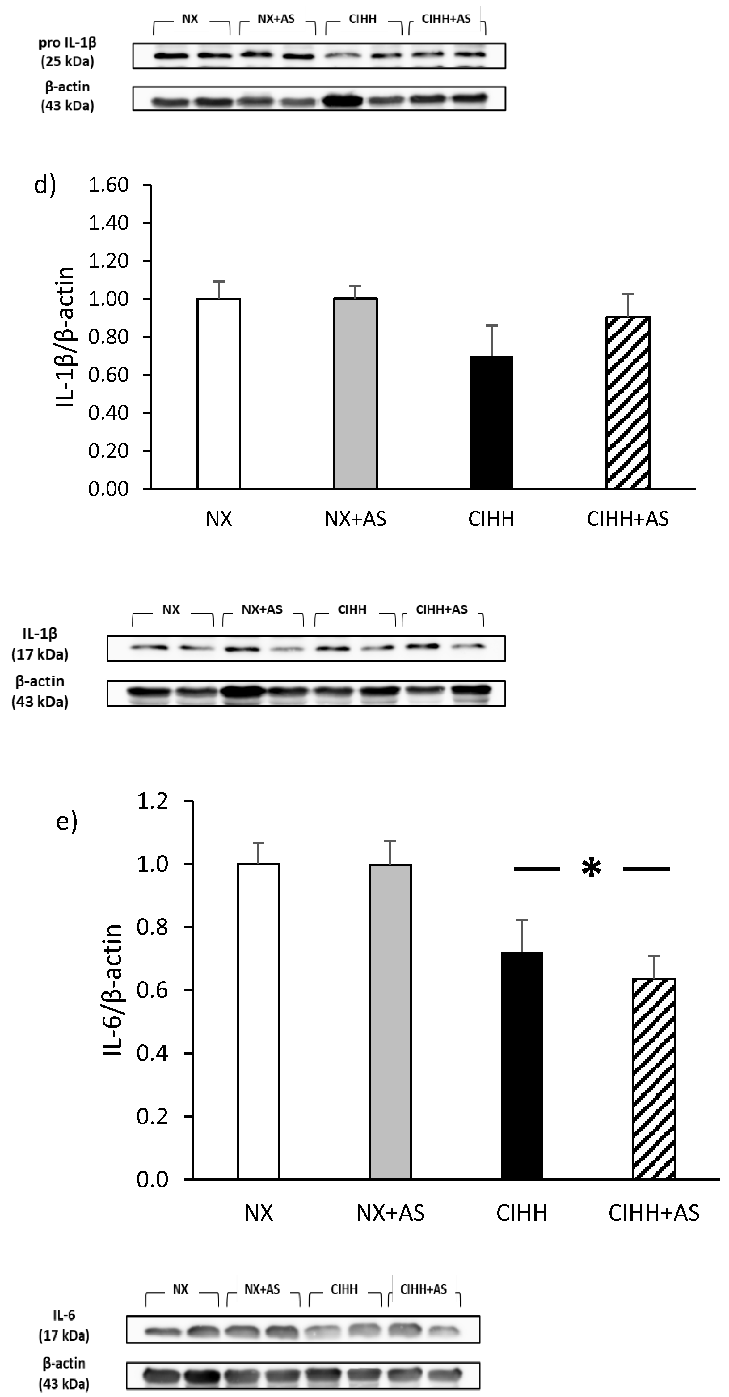 Antioxidants 13 01269 g006b Antioxidants 13 01269 g006b