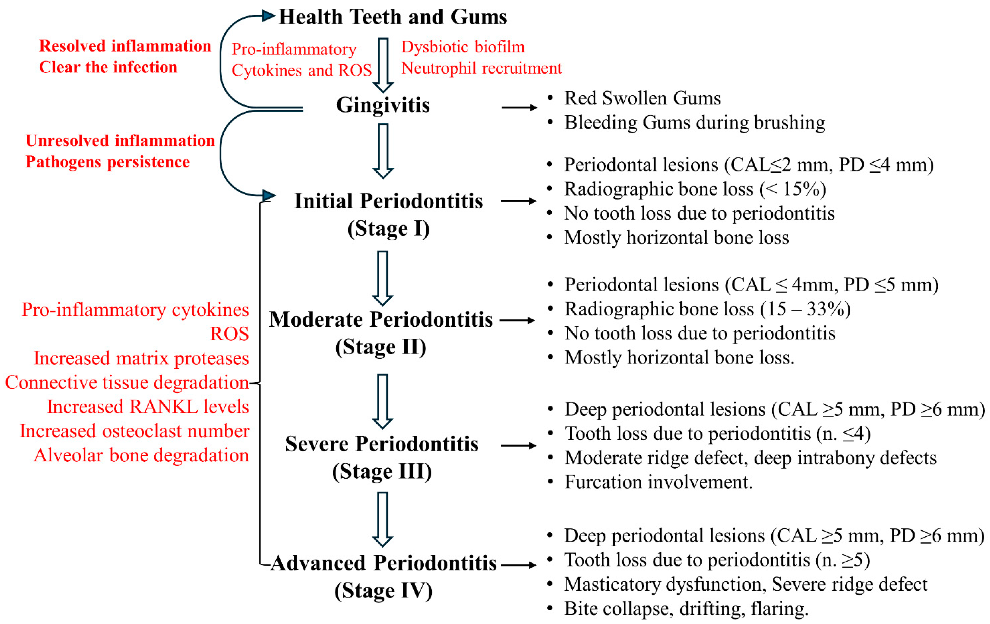 Antioxidants 13 01270 g001 Antioxidants 13 01270 g001