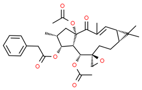 Antioxidants 13 01270 i007 Antioxidants 13 01270 i007