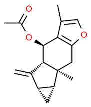 Antioxidants 13 01270 i014 Antioxidants 13 01270 i014
