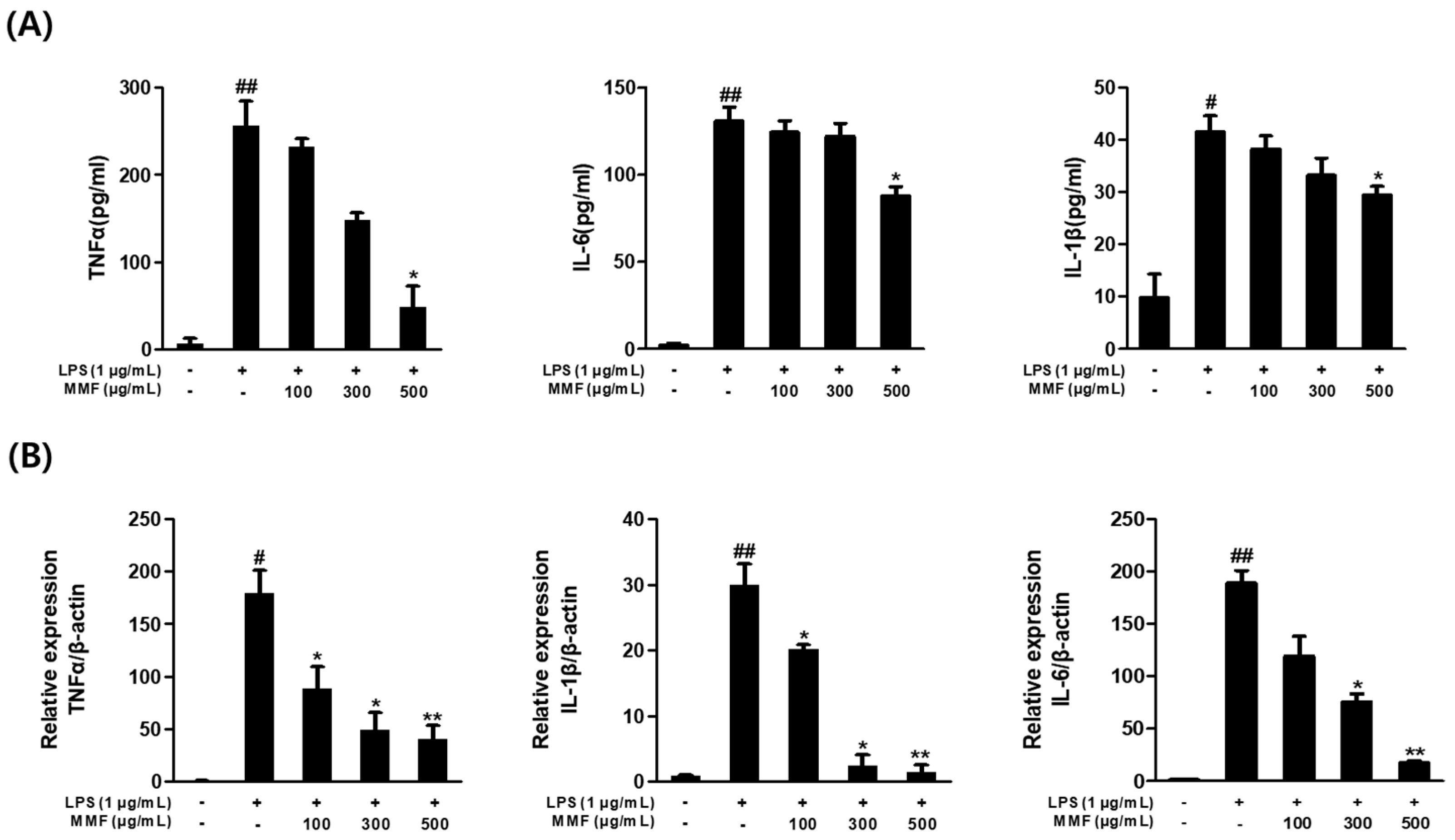 Antioxidants 13 01271 g006 Antioxidants 13 01271 g006