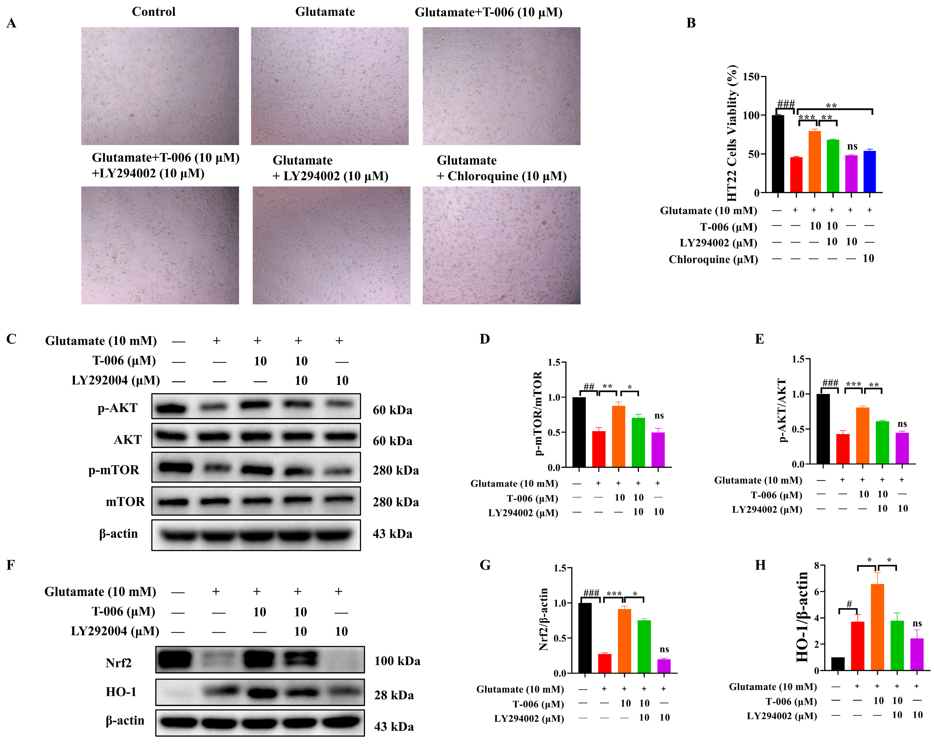 Antioxidants 13 01272 g004
