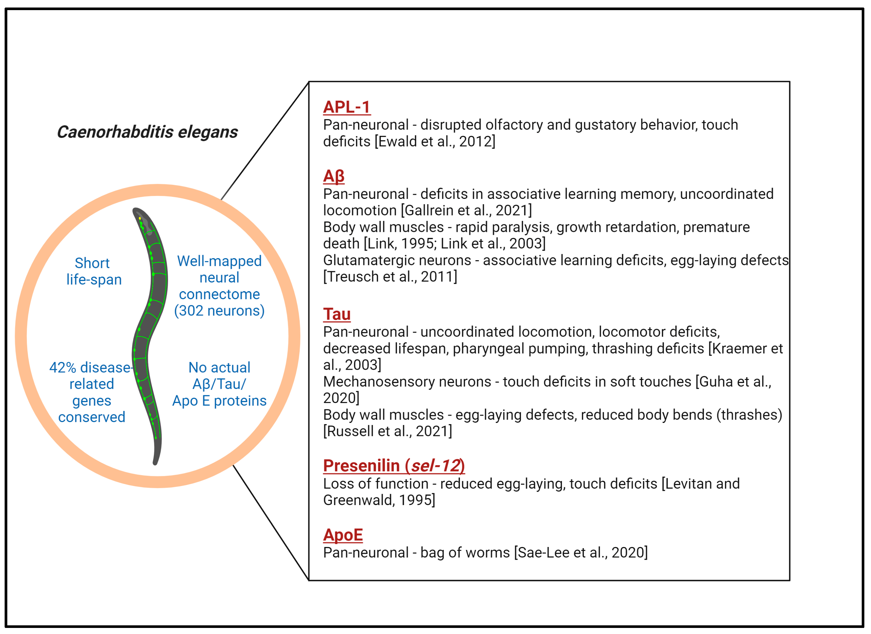 Antioxidants 13 01343 g001