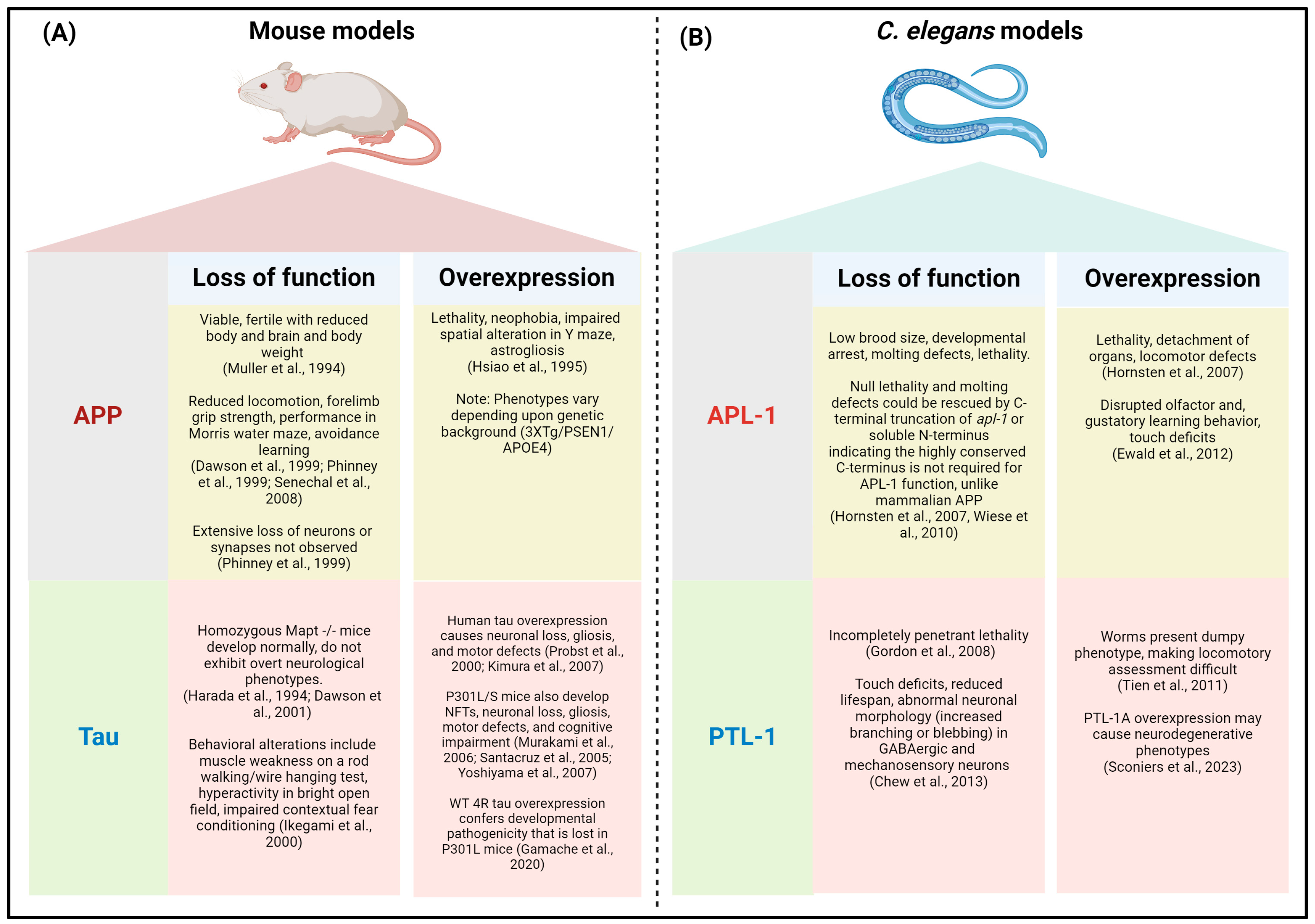 Antioxidants 13 01343 g002