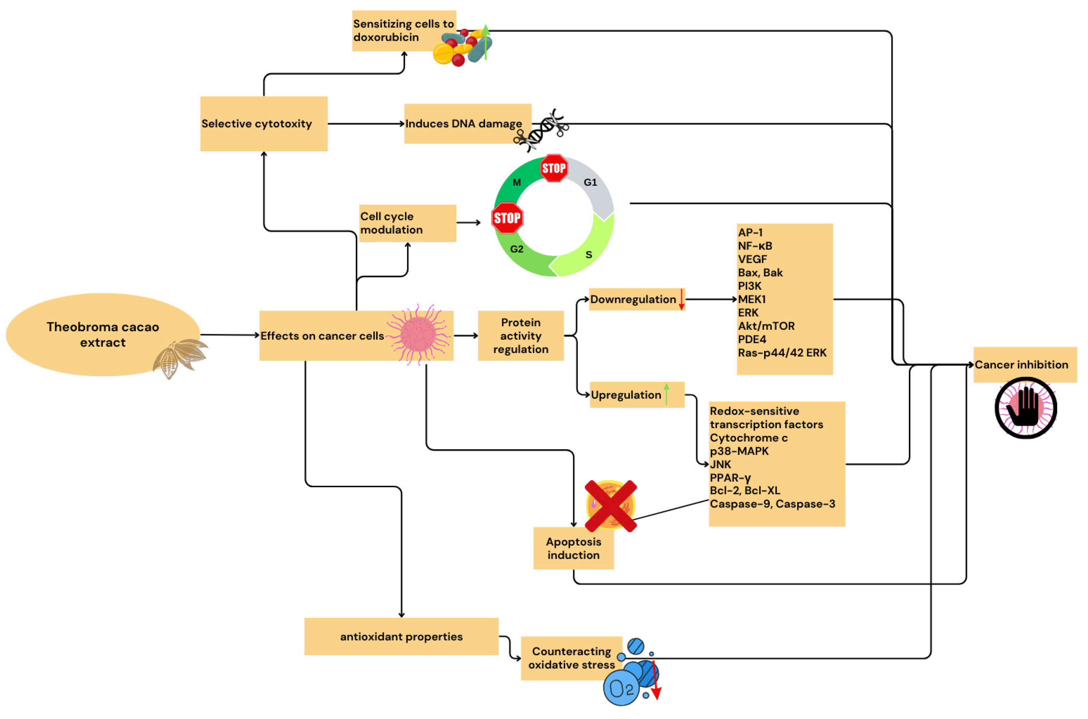 Antioxidants 13 01376 g004