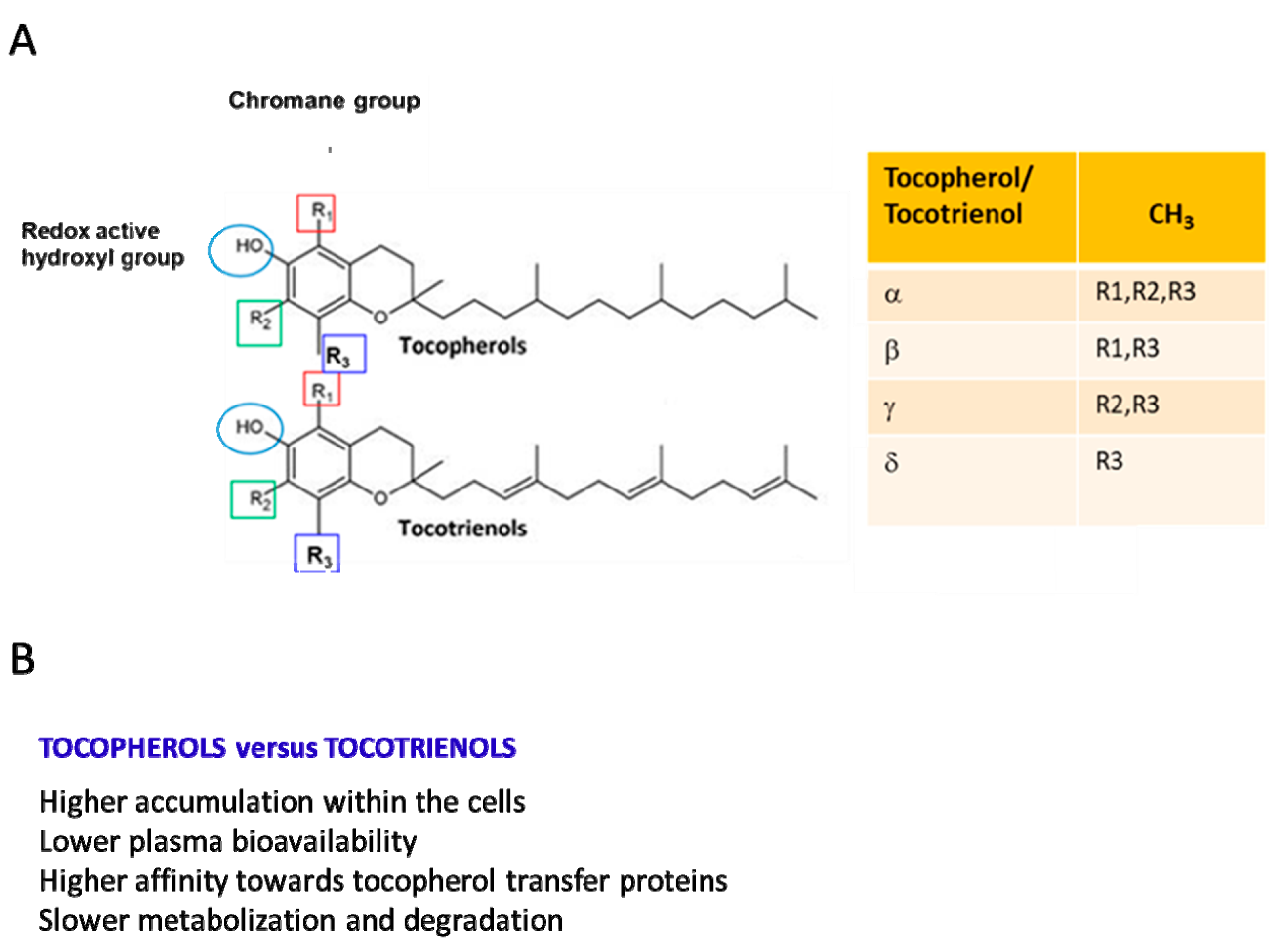 Antioxidants 13 01383 g001 Antioxidants 13 01383 g001