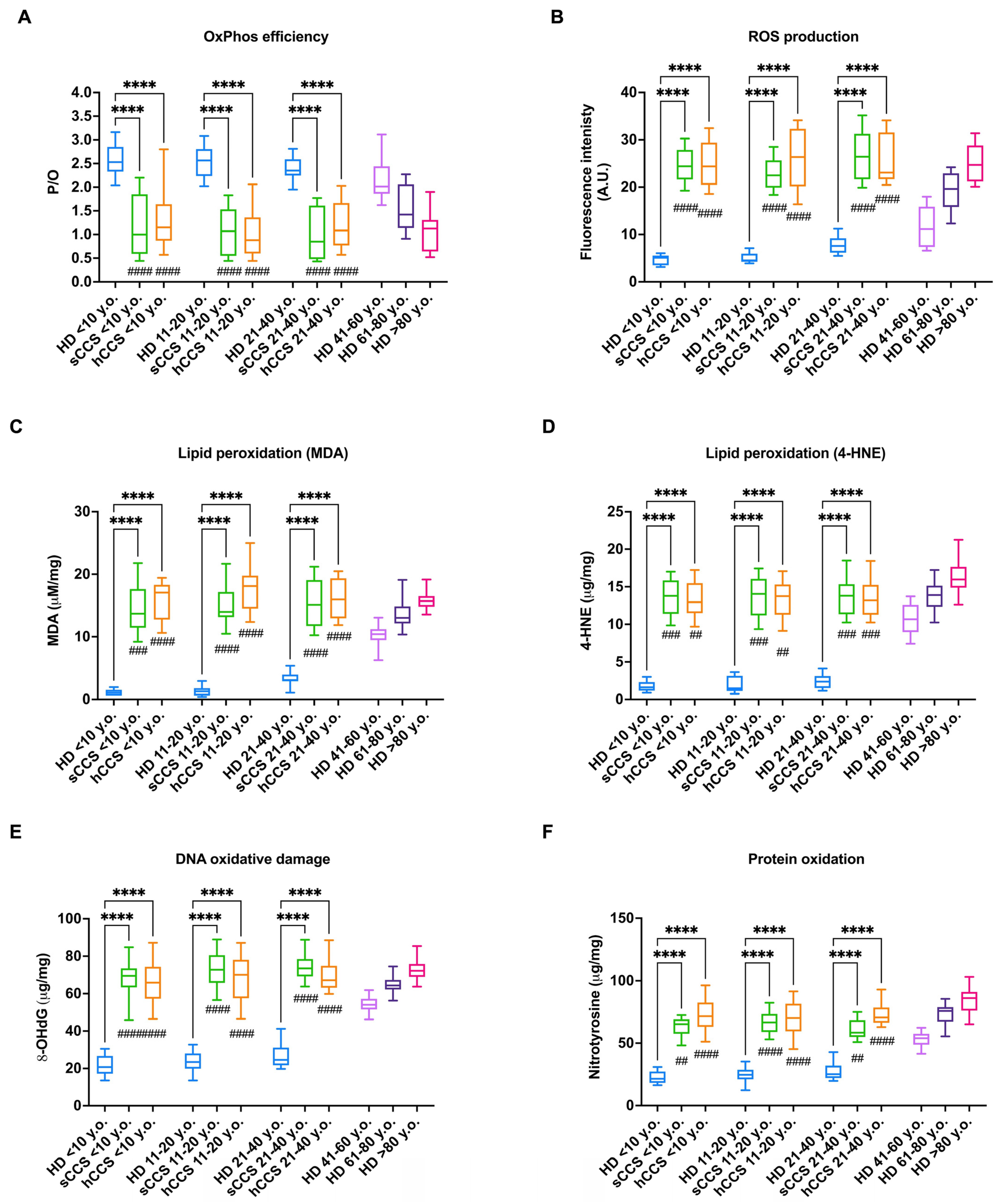 Antioxidants 13 01397 g001