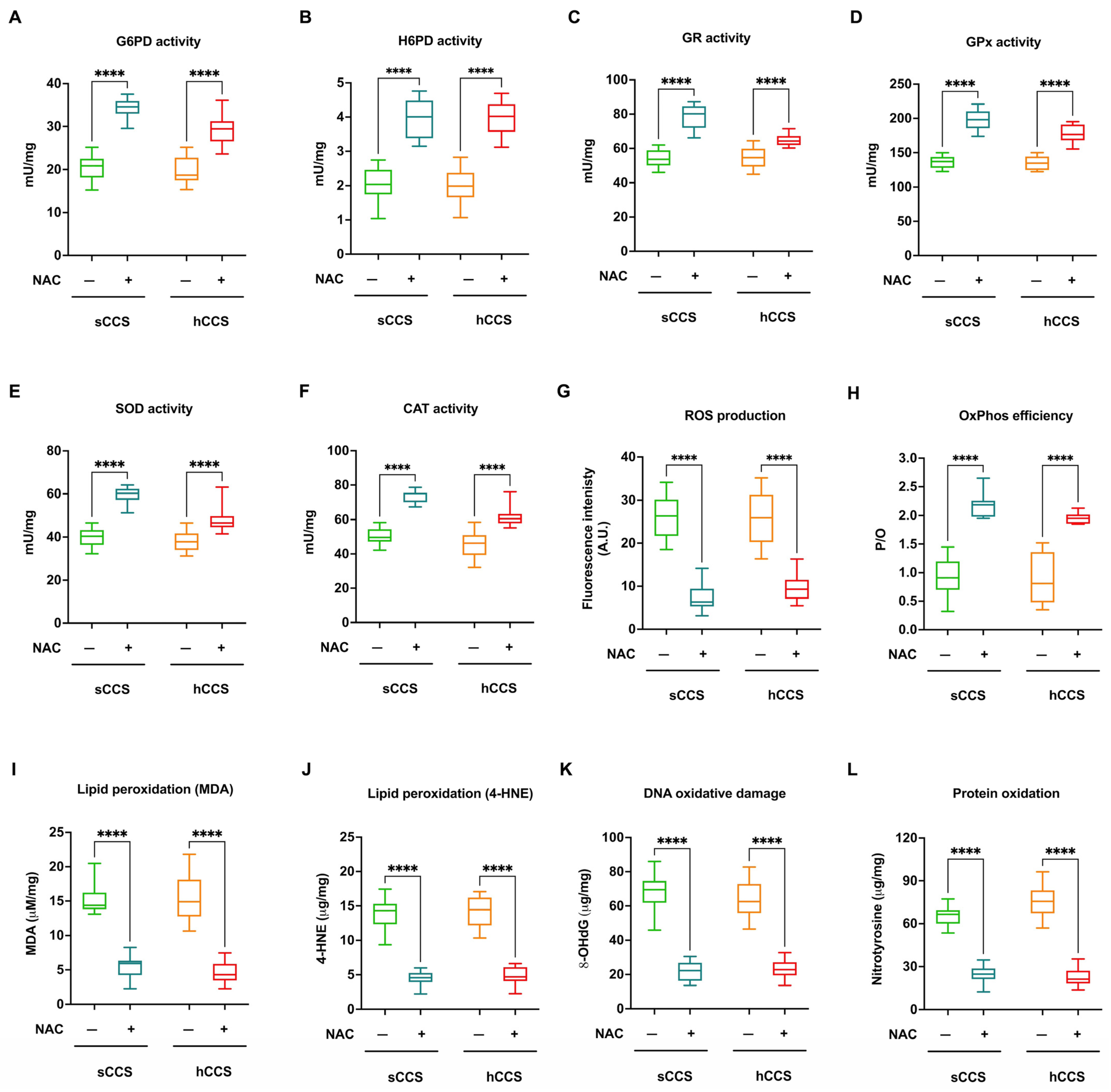 Antioxidants 13 01397 g007