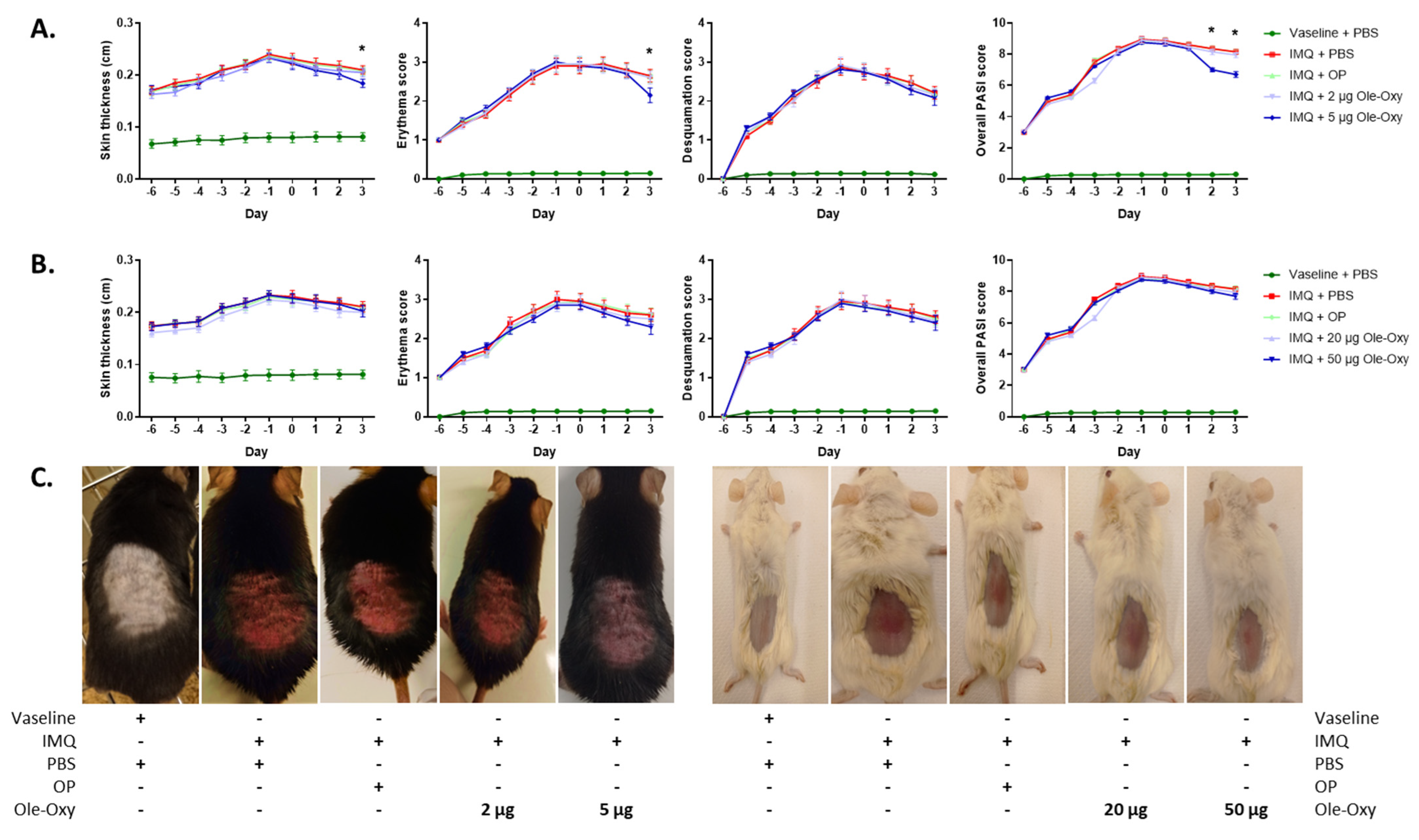 Antioxidants 13 01422 g004