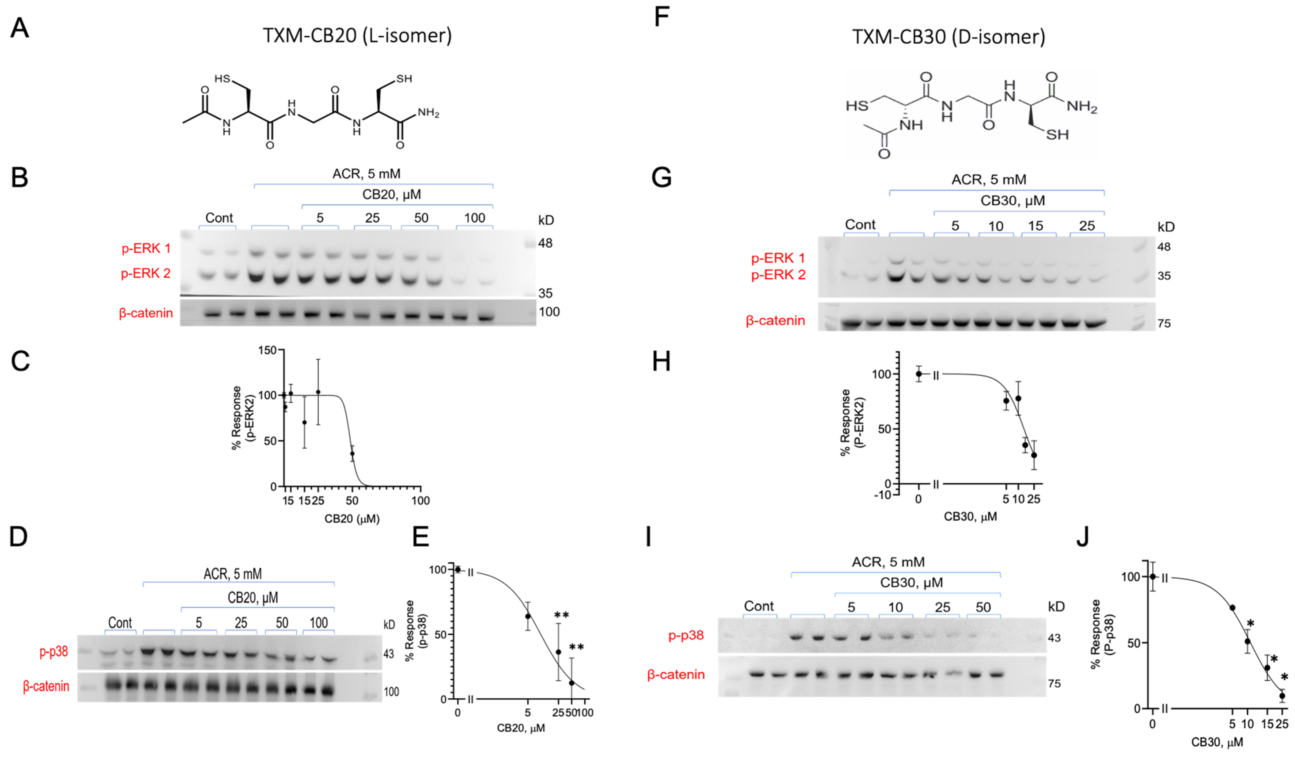 Antioxidants 13 01431 g006