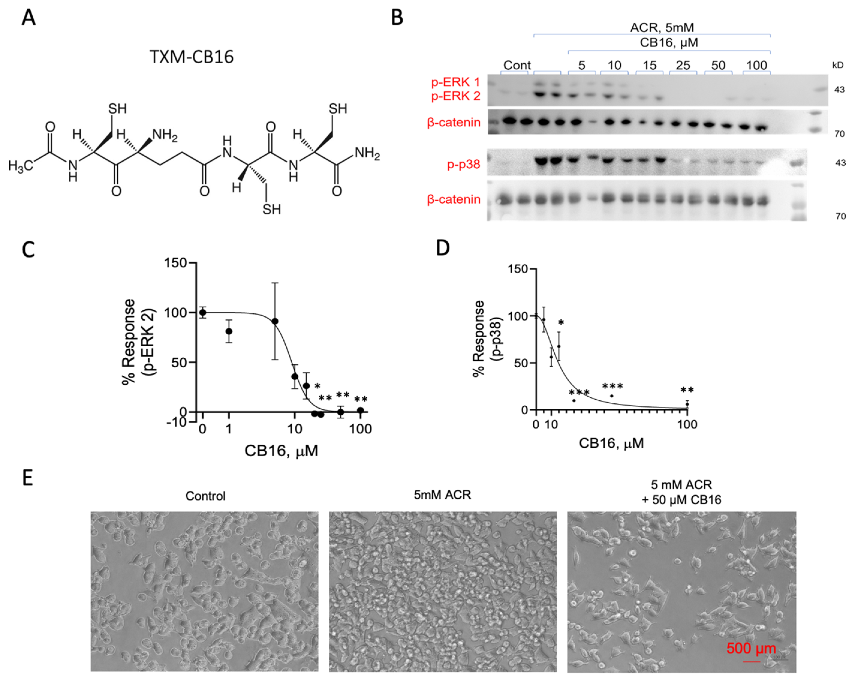 Antioxidants 13 01431 g008