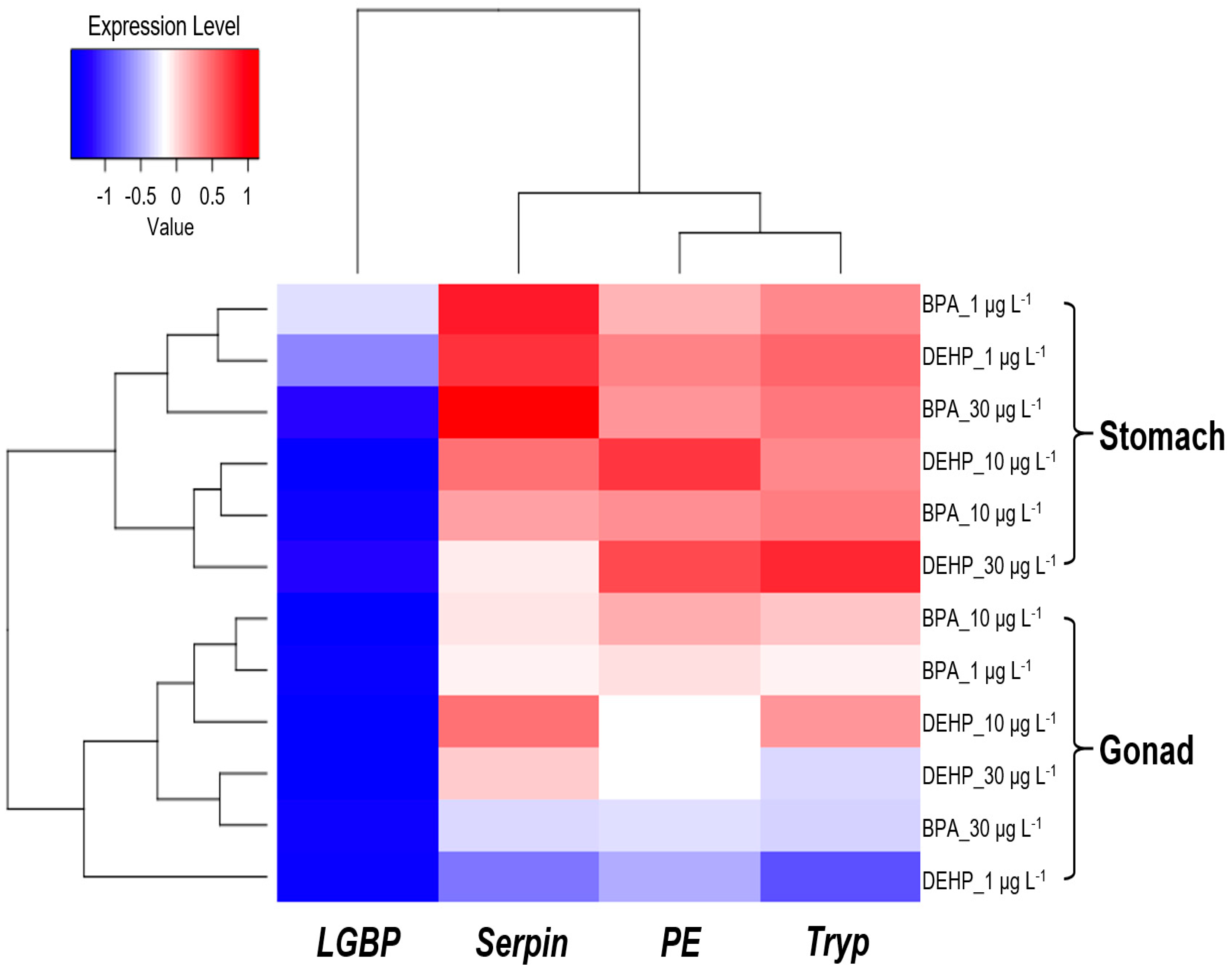 Antioxidants 13 01433 g007