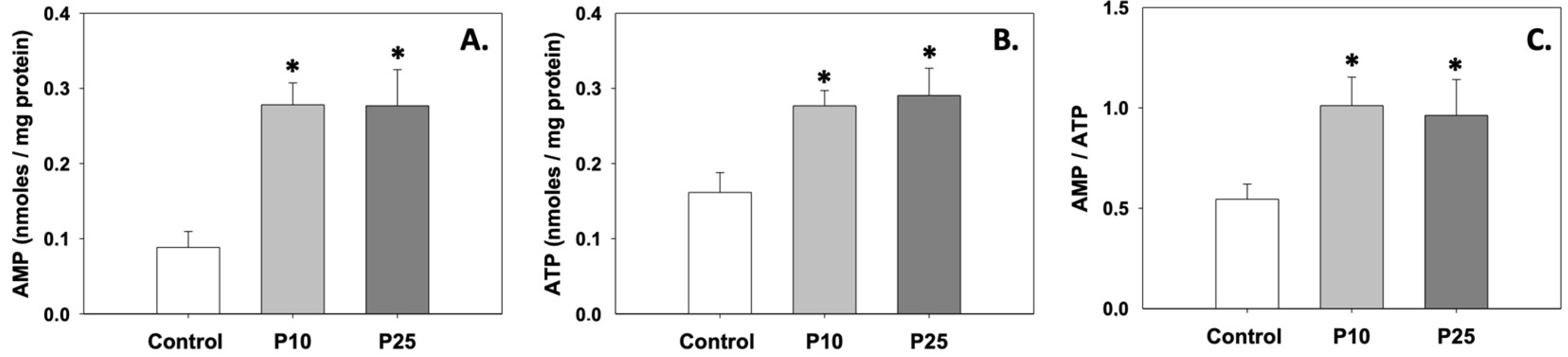 Antioxidants 13 01437 g003