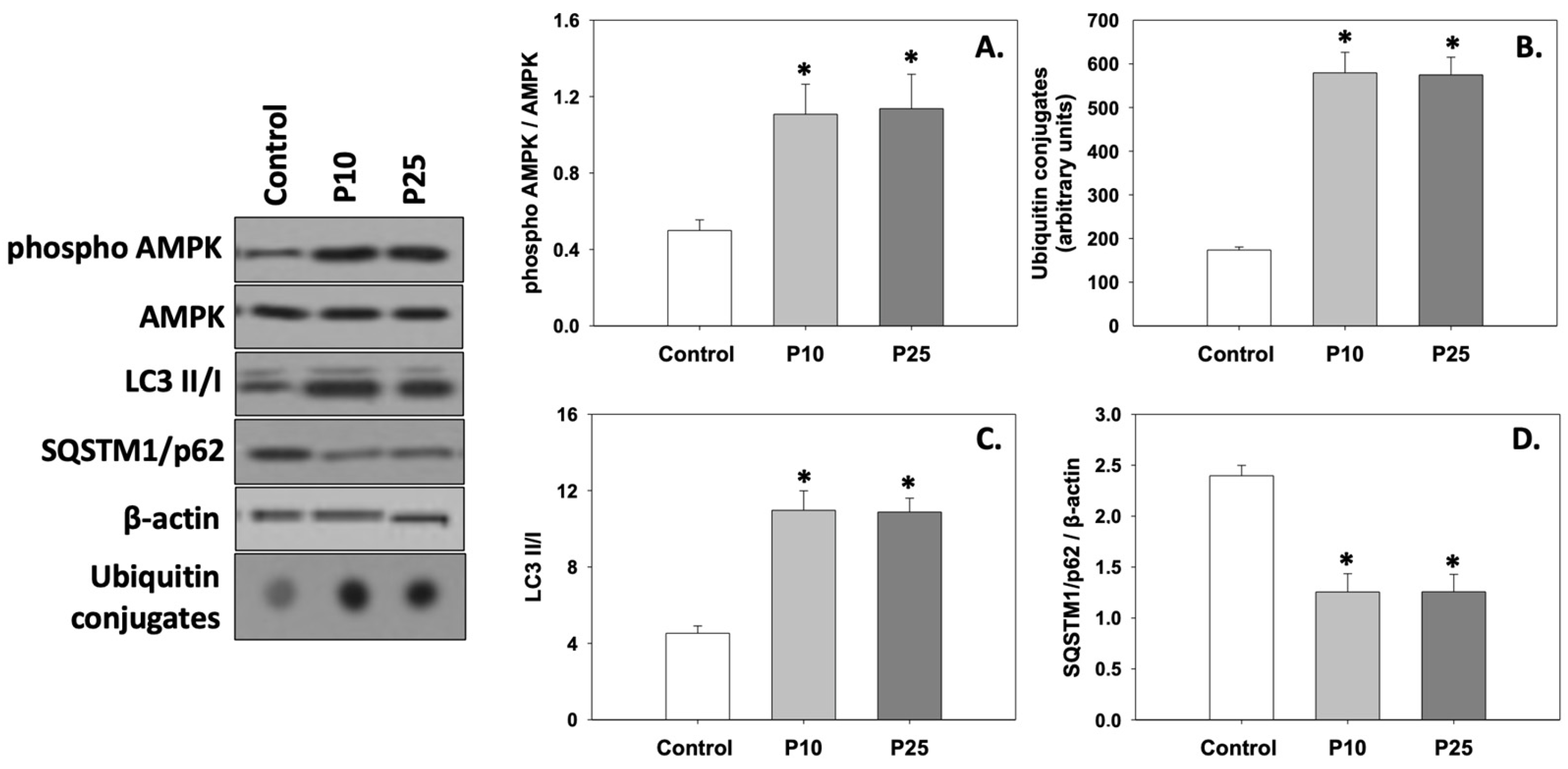Antioxidants 13 01437 g004