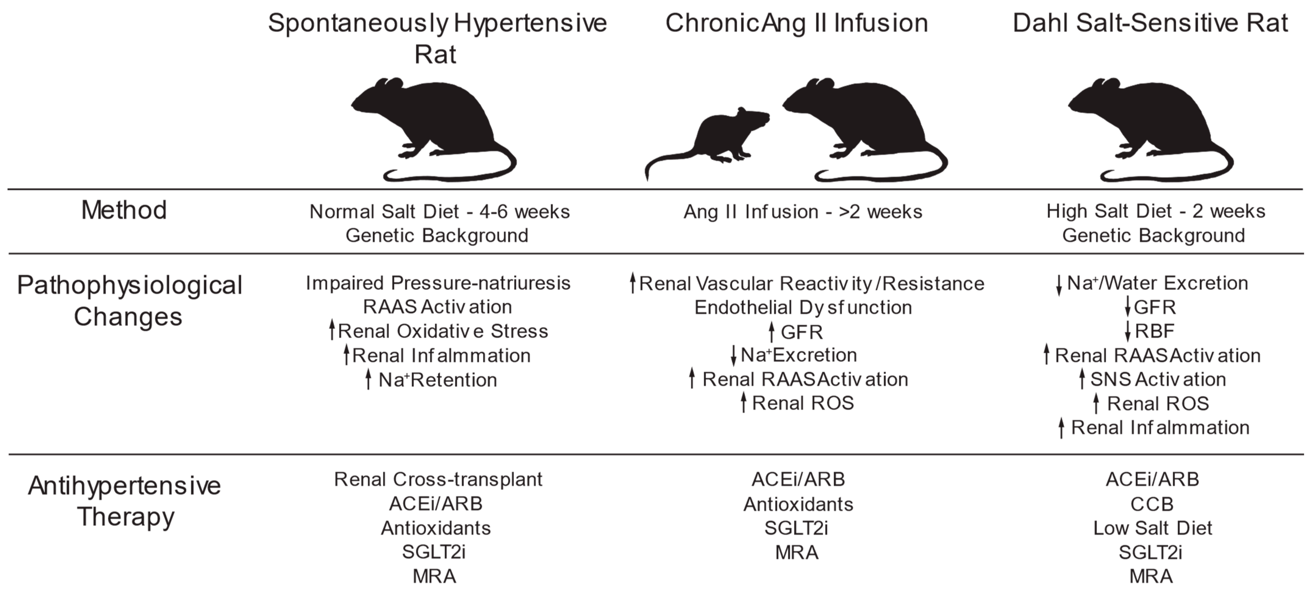 Antioxidants 13 01454 g005 Antioxidants 13 01454 g005