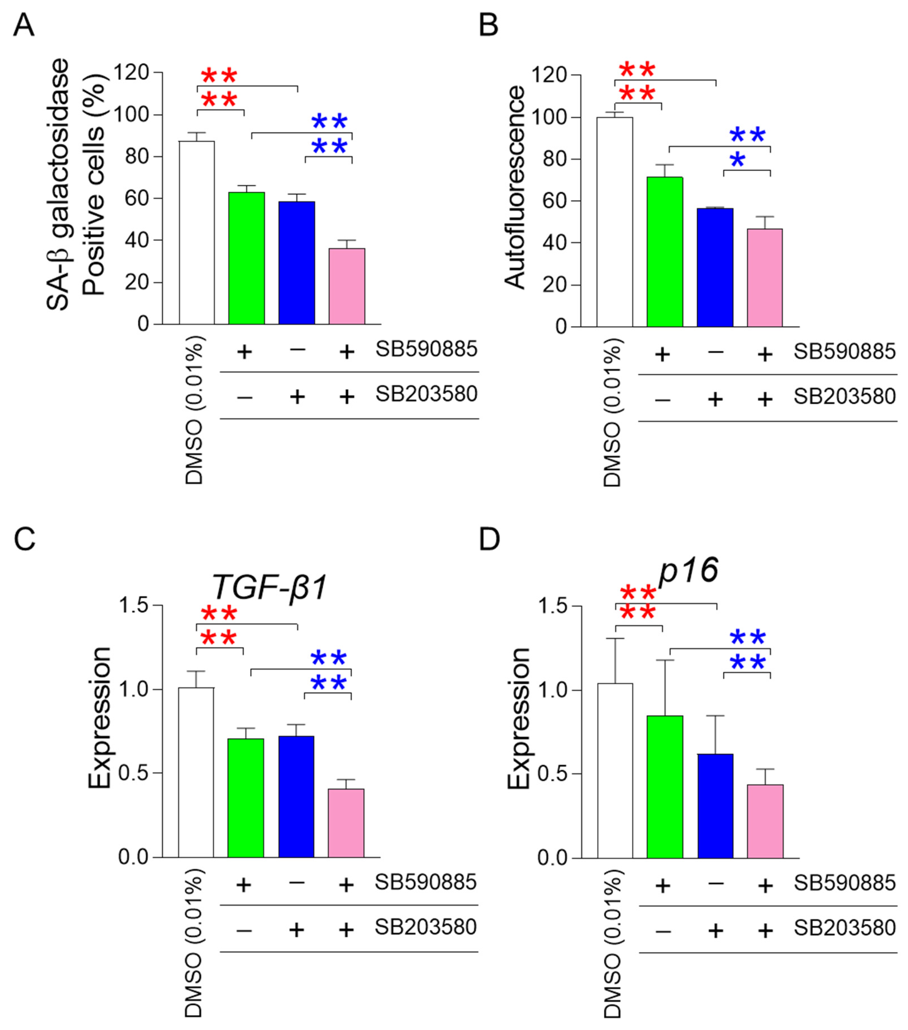 Antioxidants 13 01465 g003