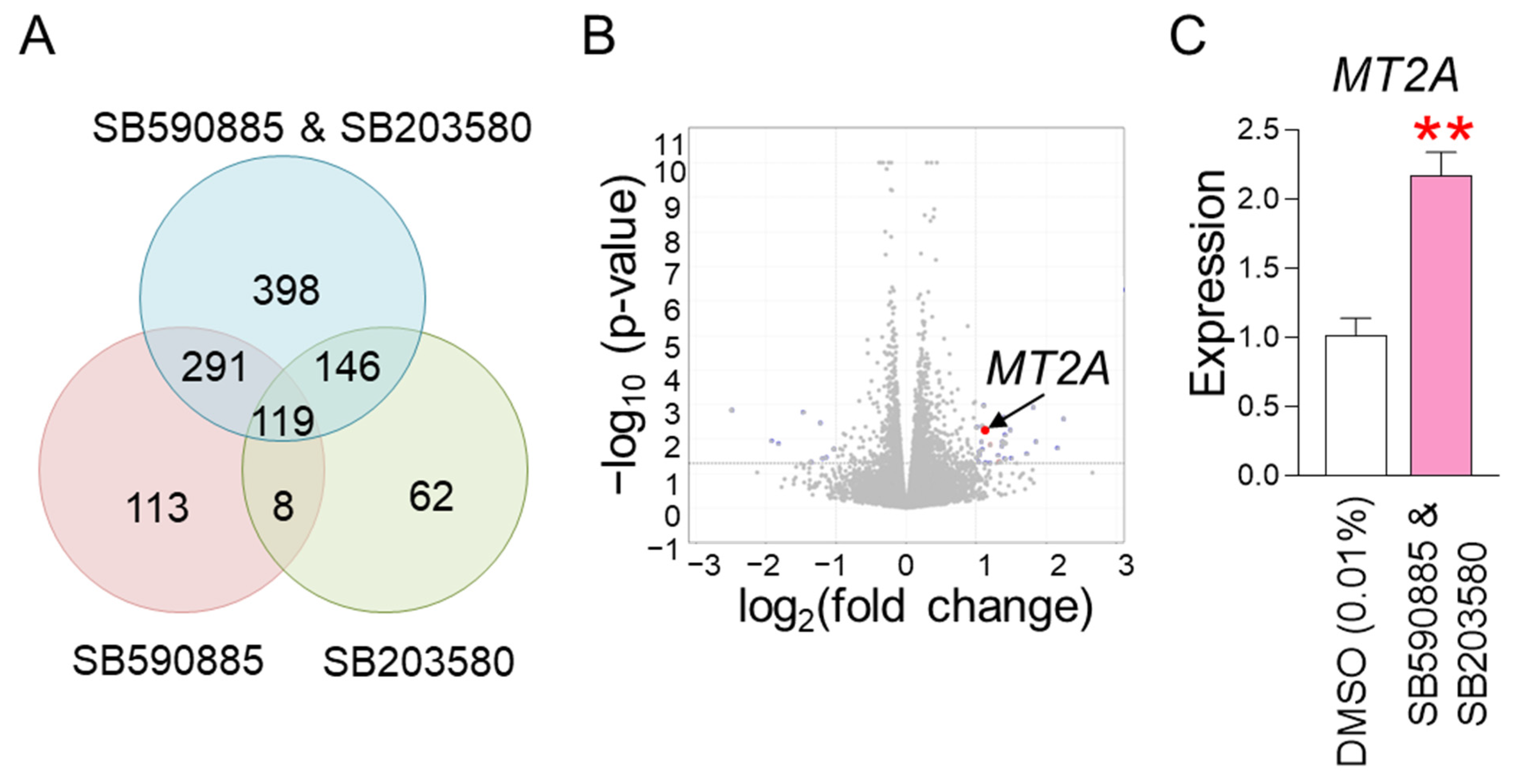 Antioxidants 13 01465 g004