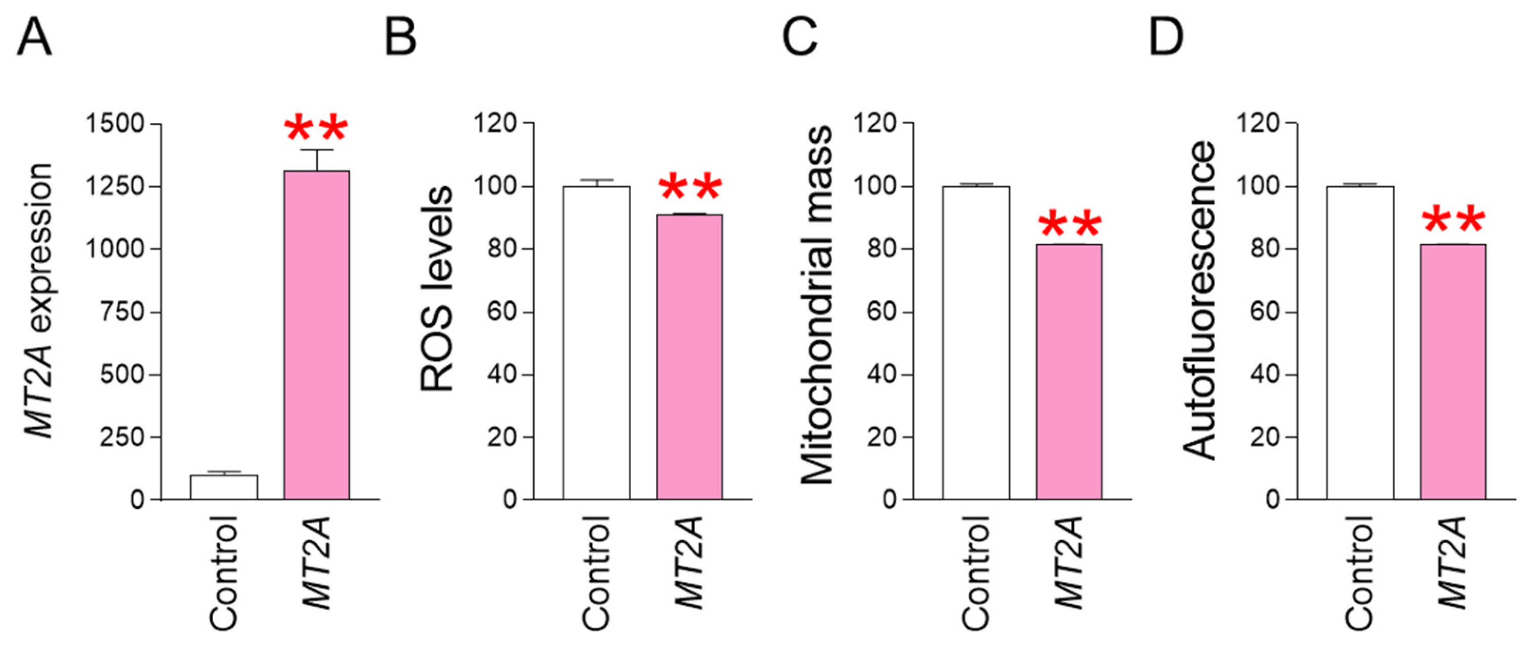 Antioxidants 13 01465 g005