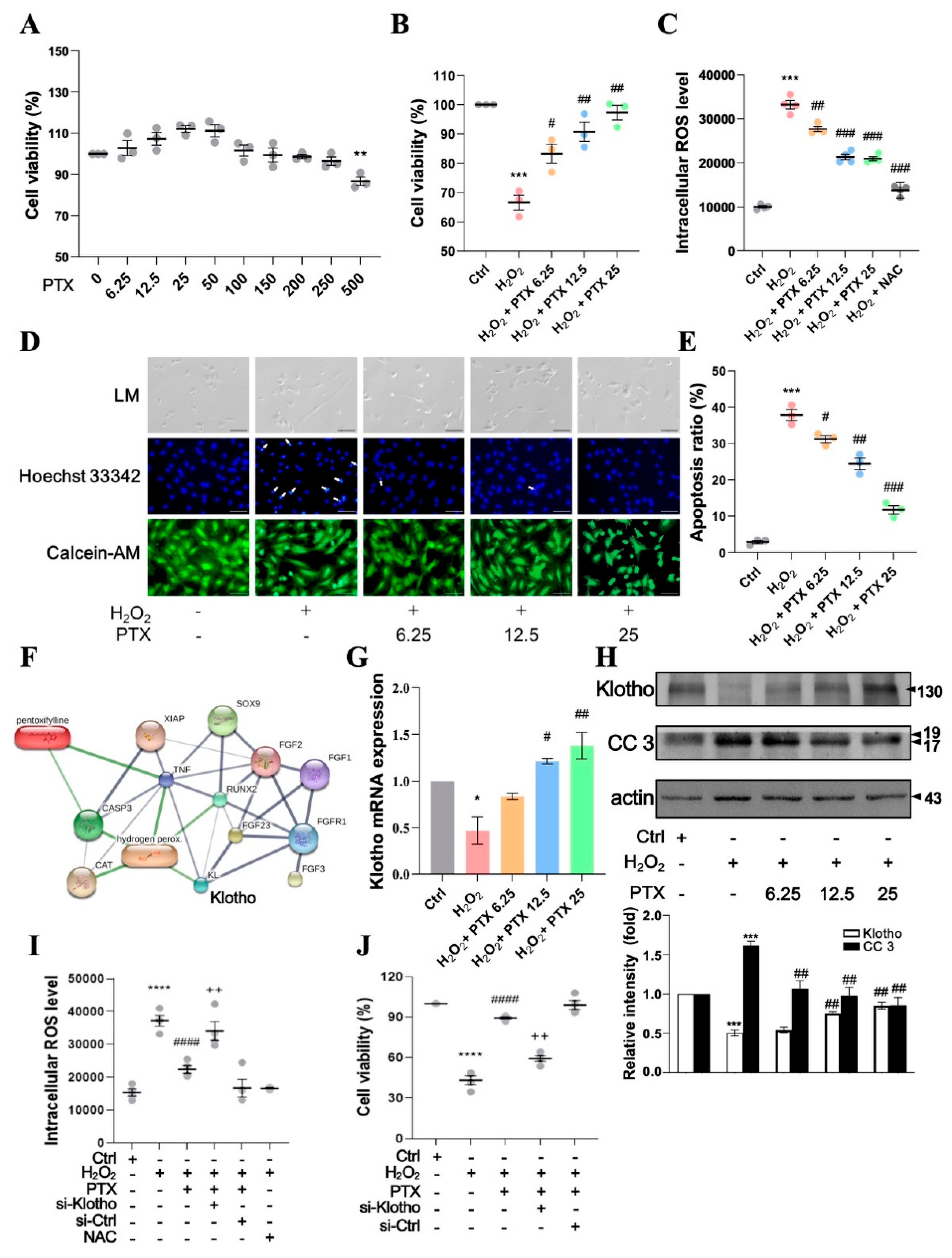 Antioxidants 13 01471 g003