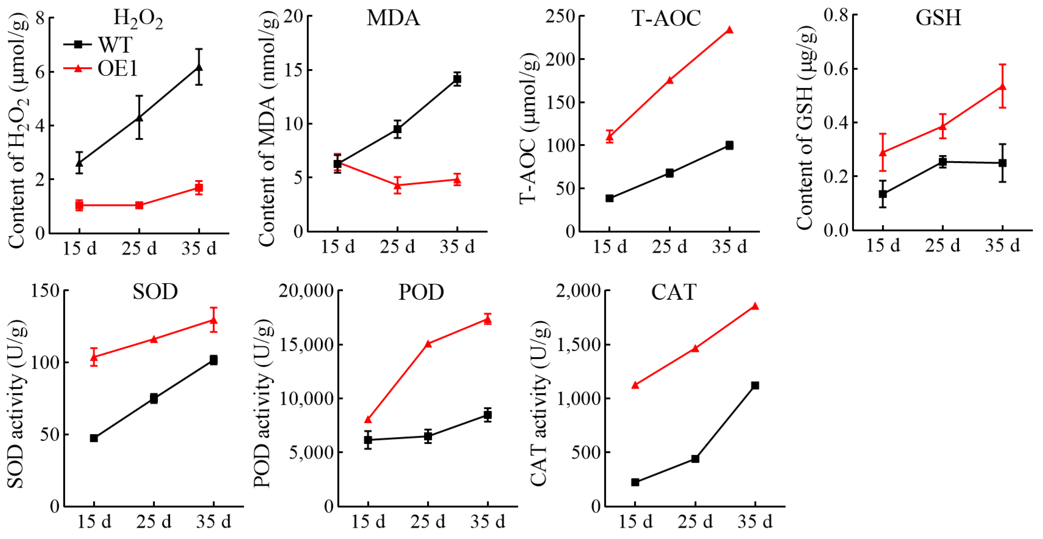 Antioxidants 13 01472 g006