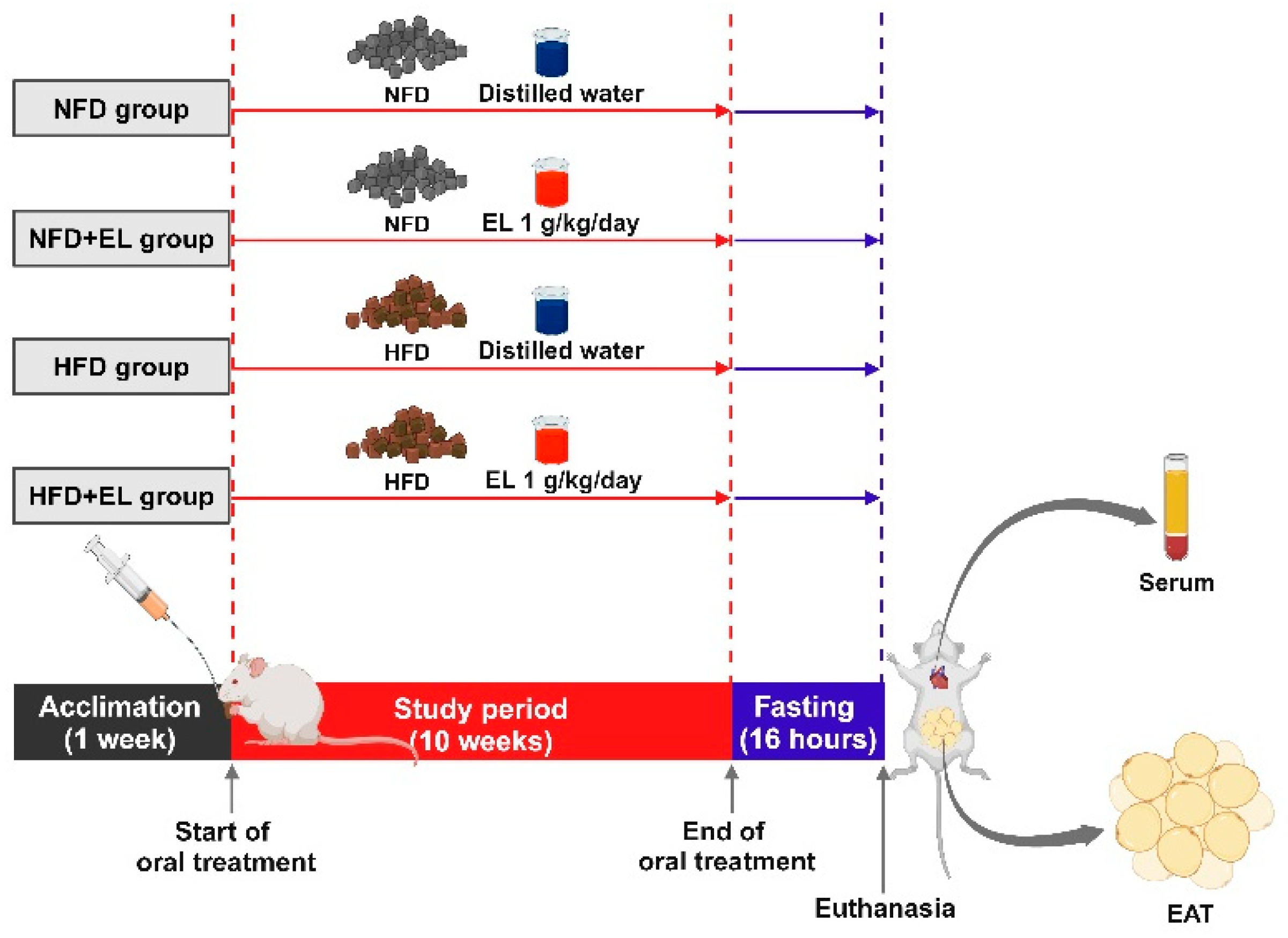 Antioxidants 13 01485 g001 Antioxidants 13 01485 g001