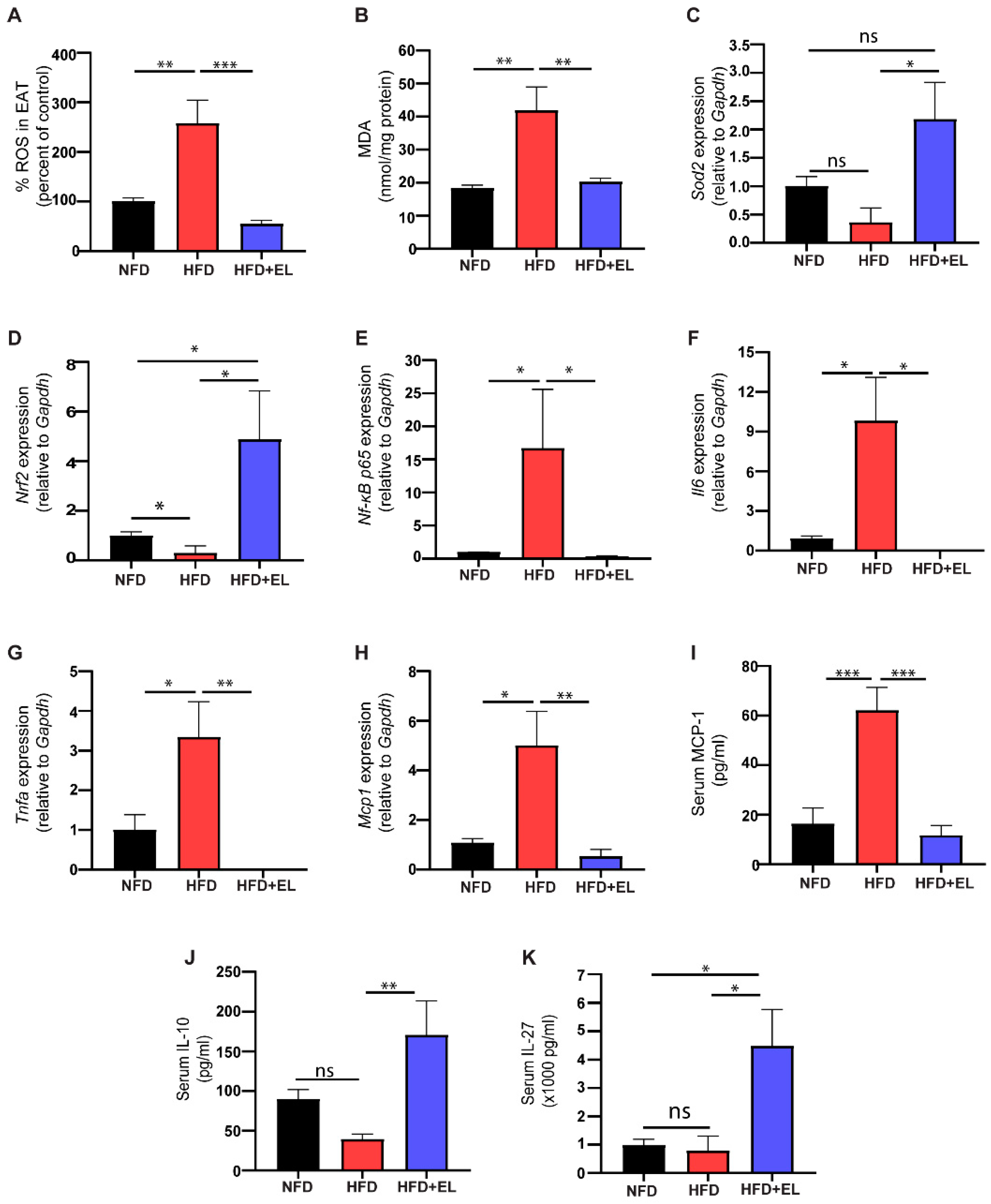 Antioxidants 13 01485 g004 Antioxidants 13 01485 g004